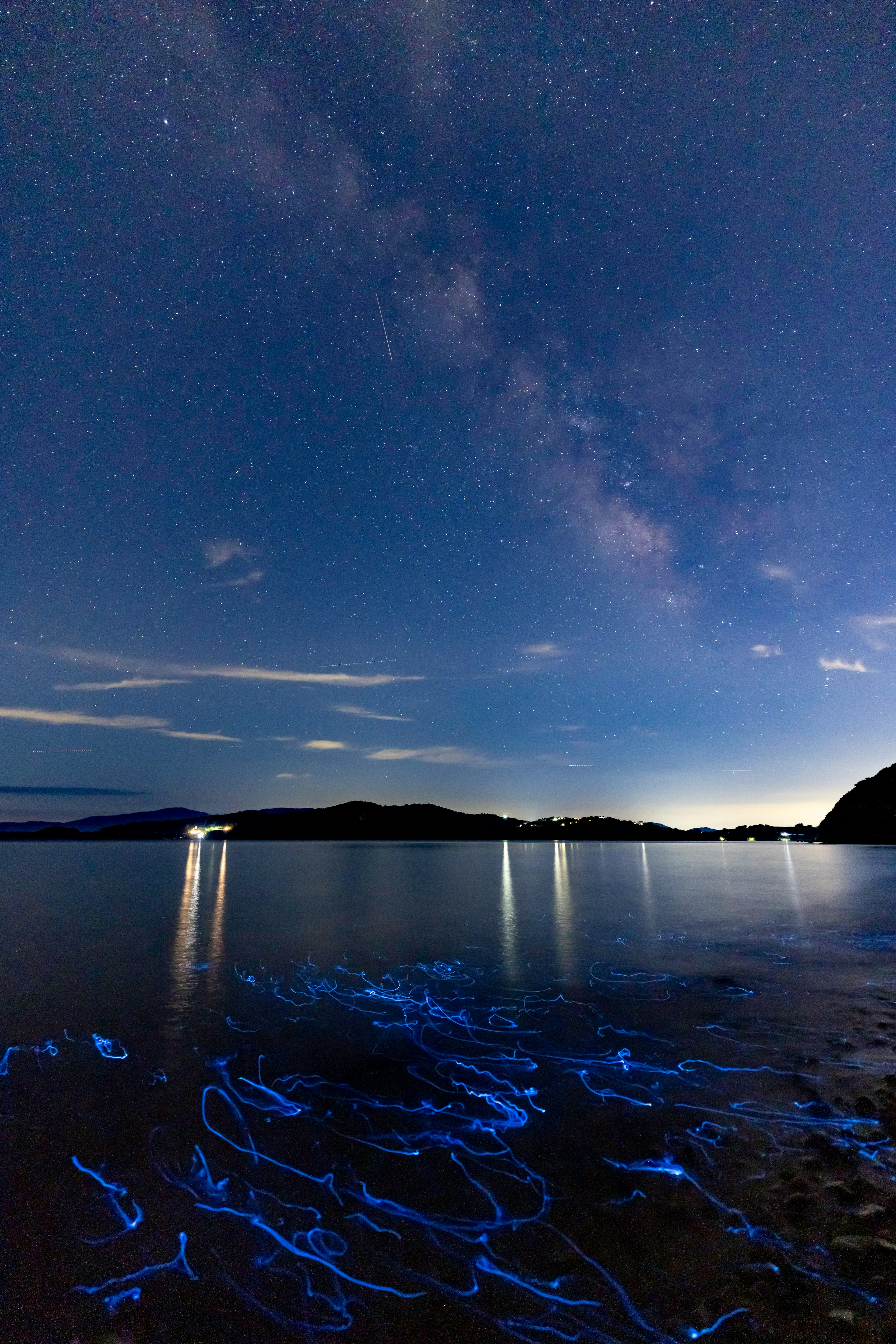 星空の下で青い光を放つ海の生物が見える幻想的な風景