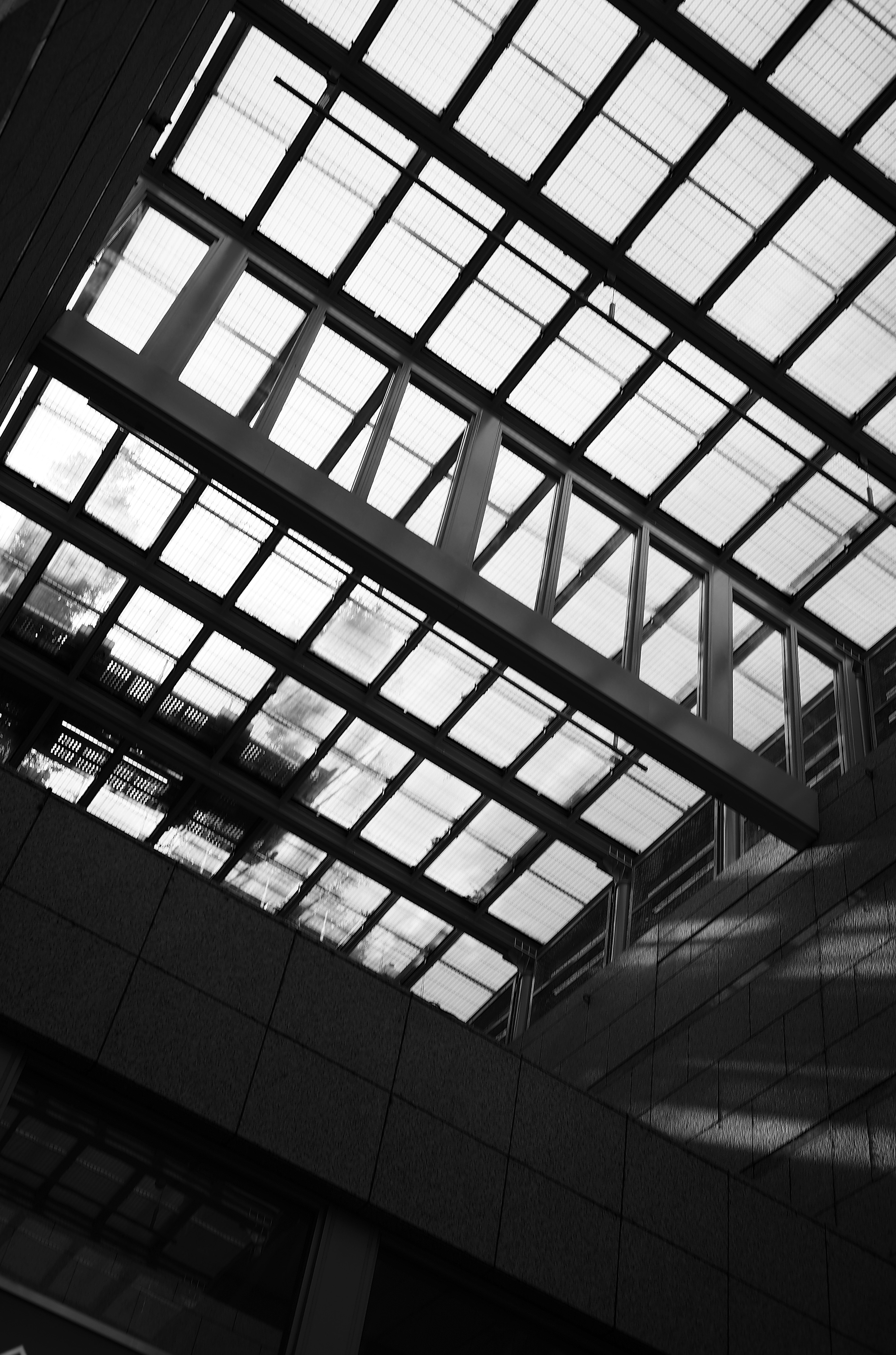 Black and white image showcasing a glass ceiling and structural elements