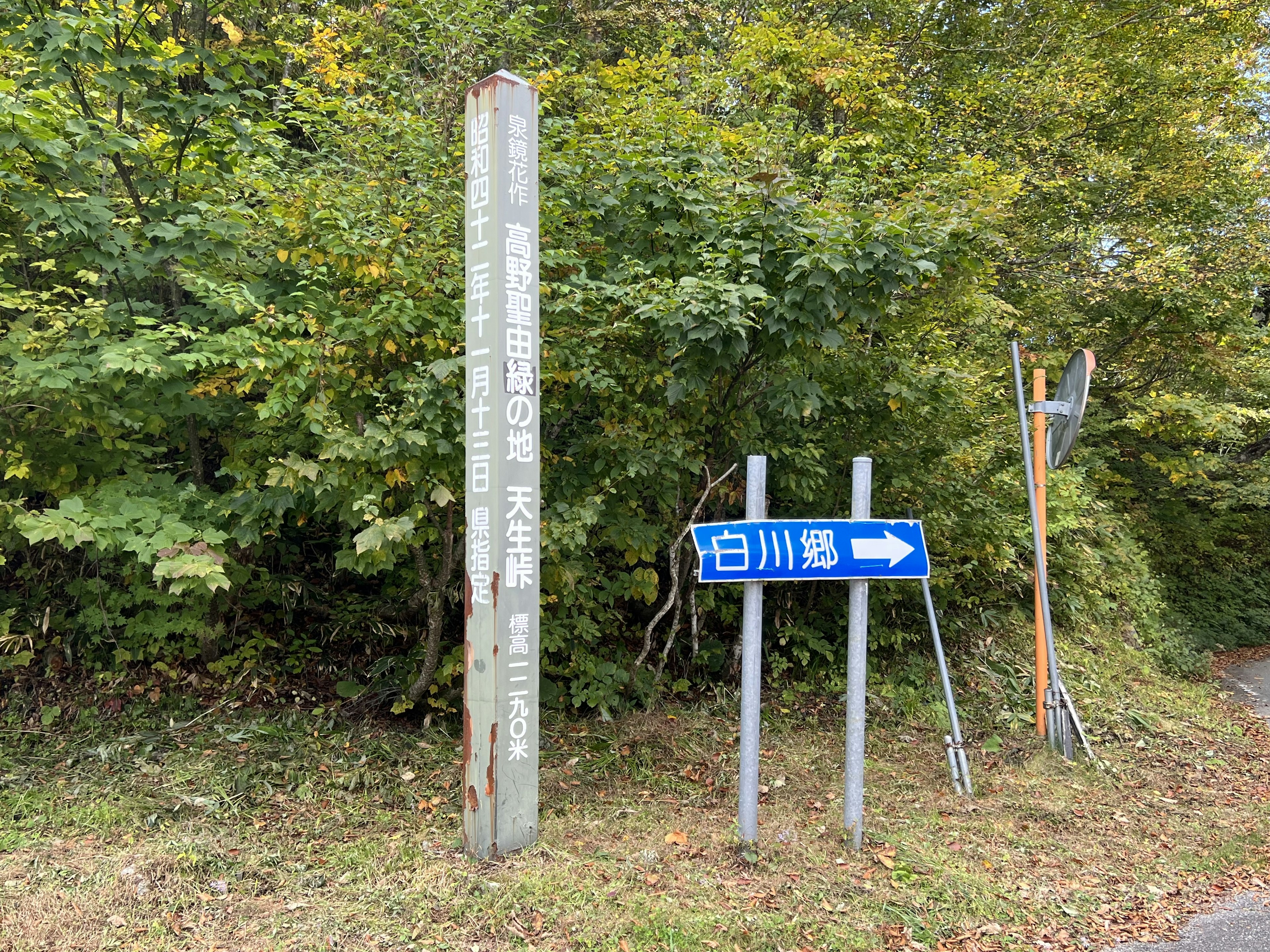 Ein Wegweiser und ein Holzpfosten in einem bewaldeten Gebiet