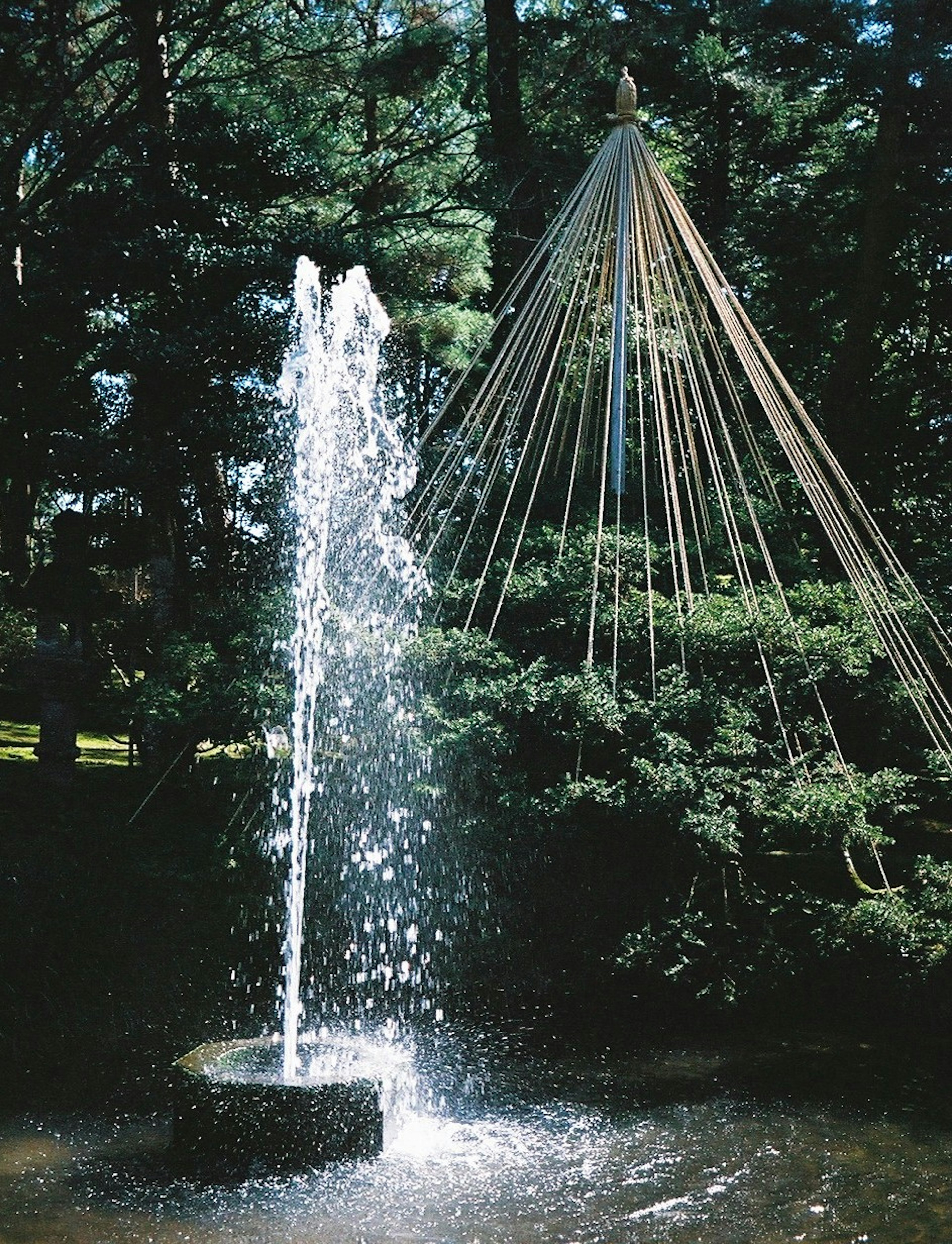 Eine Gartenszene mit einem Wasserbrunnen und üppigem Grün