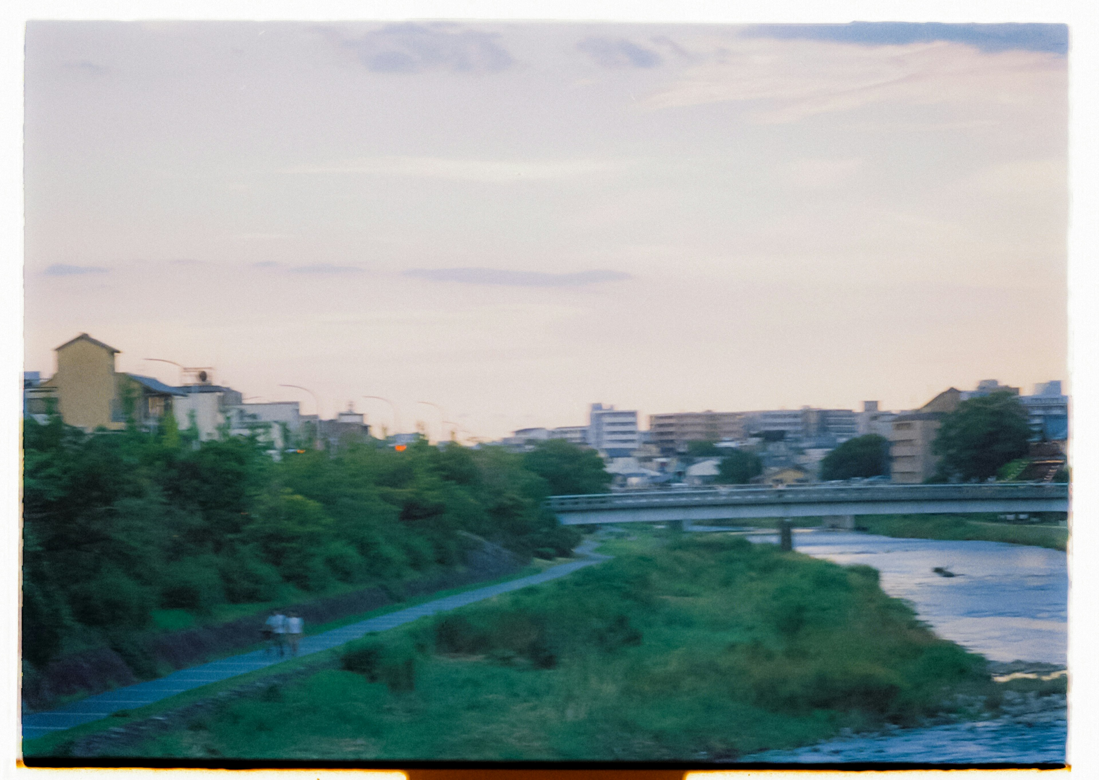 Vista serena lungo il fiume con erba verde e paesaggio urbano