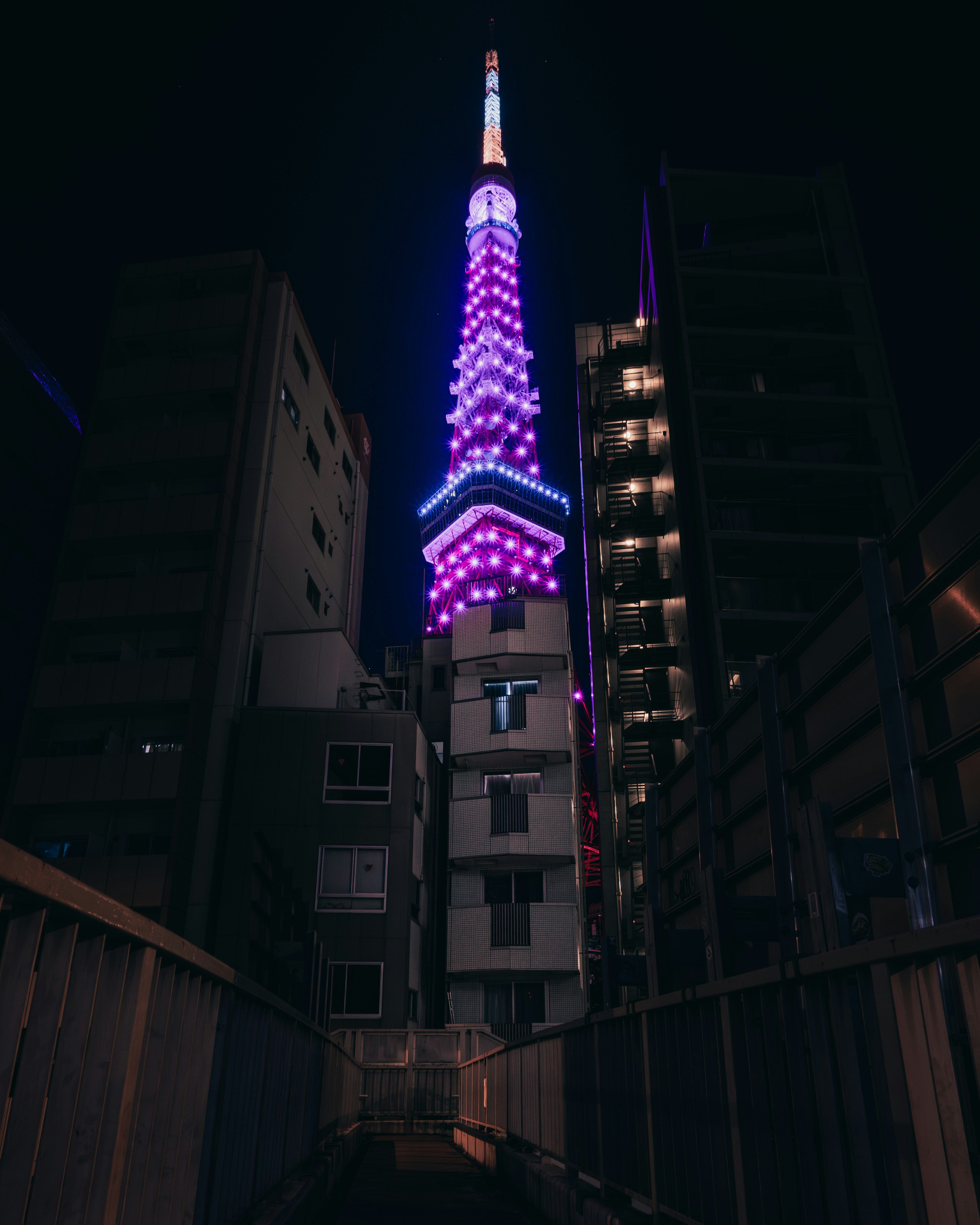 Tokyo Tower at night with purple lights and surrounding buildings