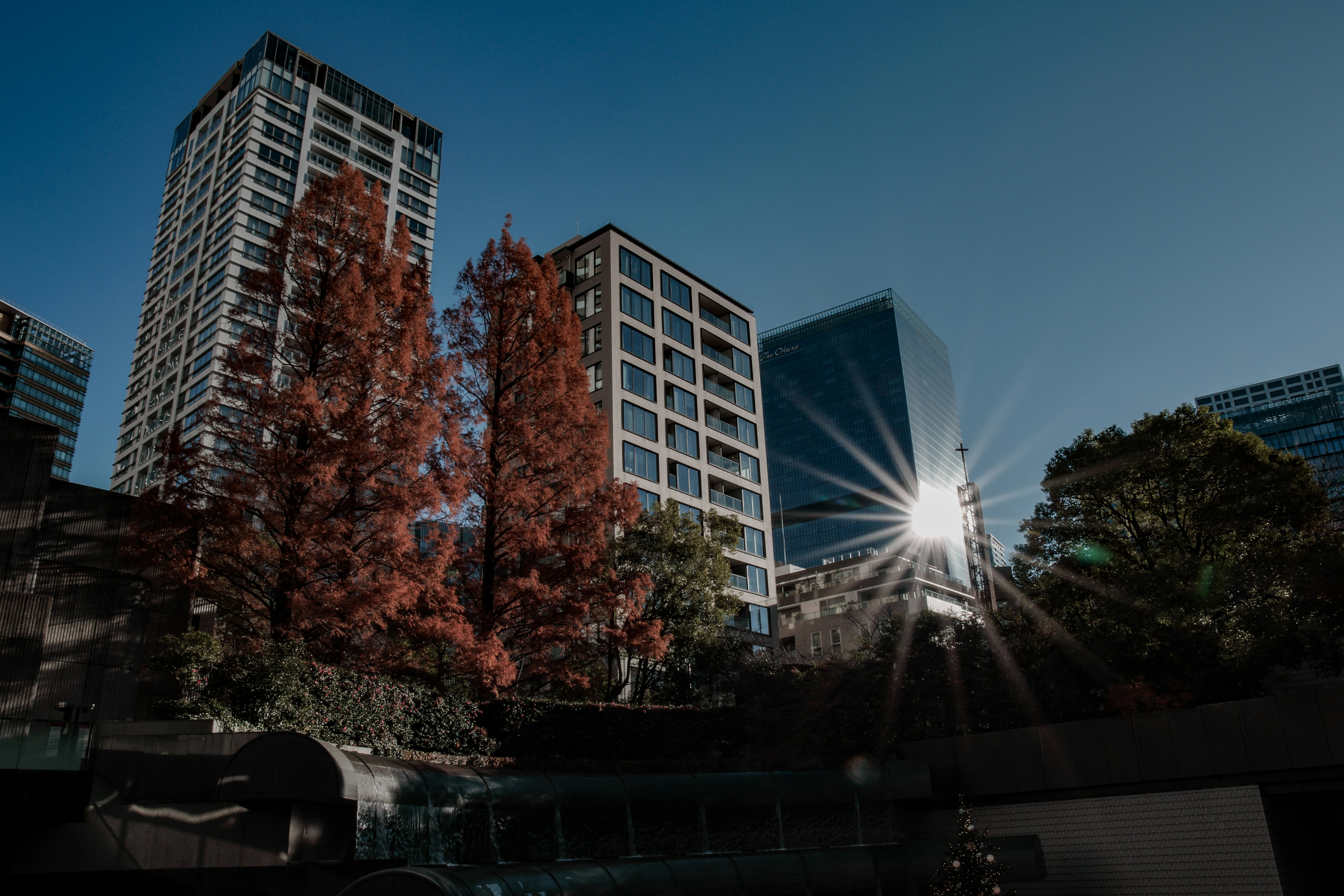 Urban landscape with high-rise buildings and autumn foliage