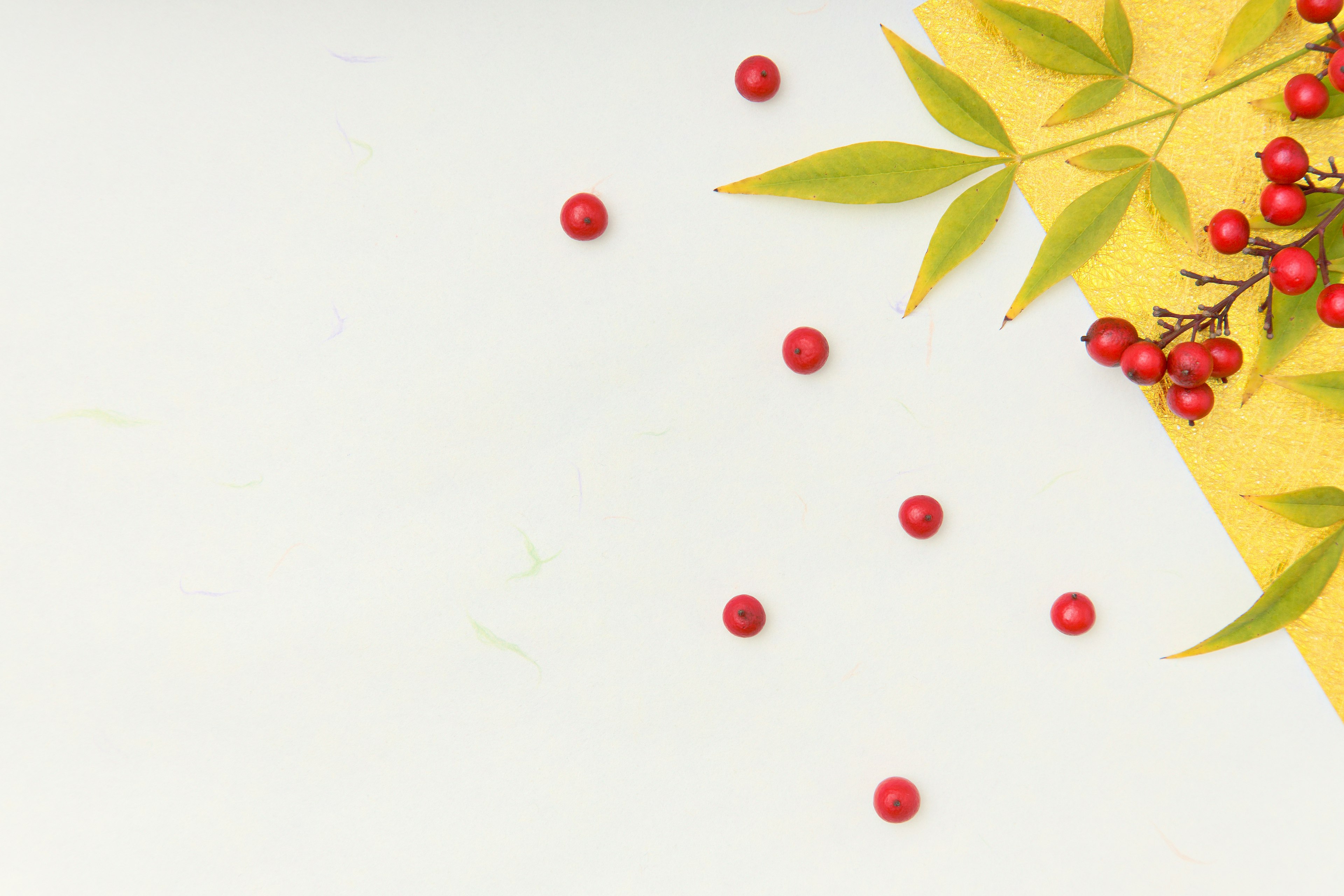 Yellow background with scattered red berries and green leaves