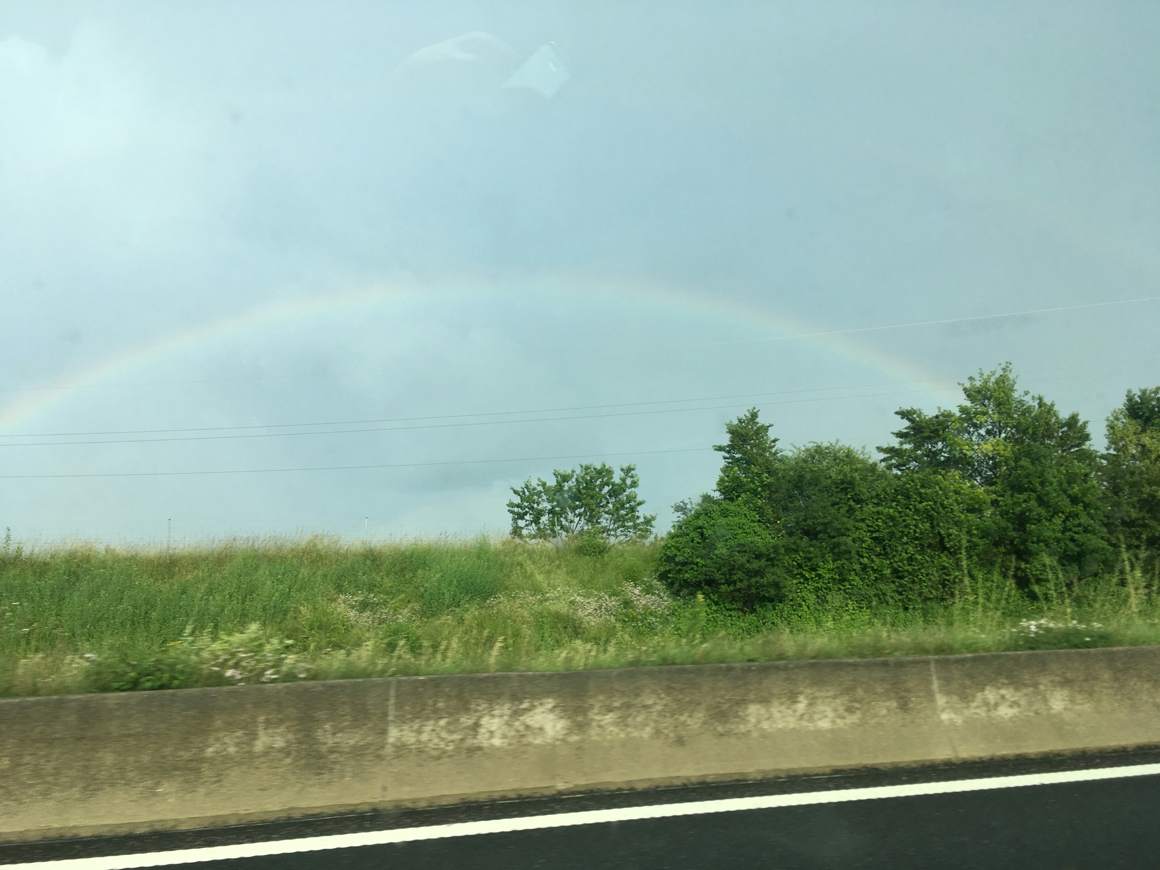 Un arco iris sobre hierba verde y árboles