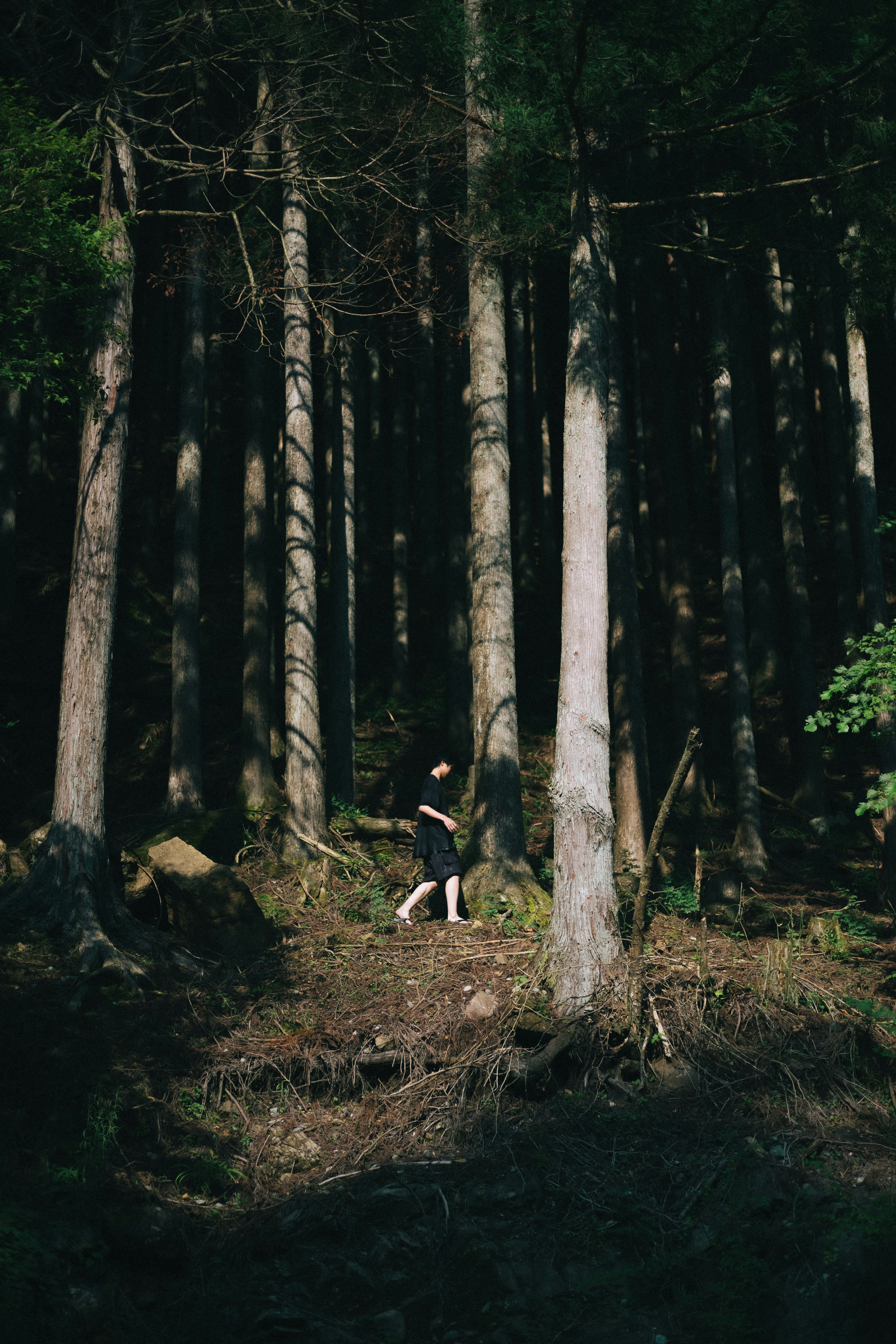 Silhouette di una persona che cammina in una foresta buia