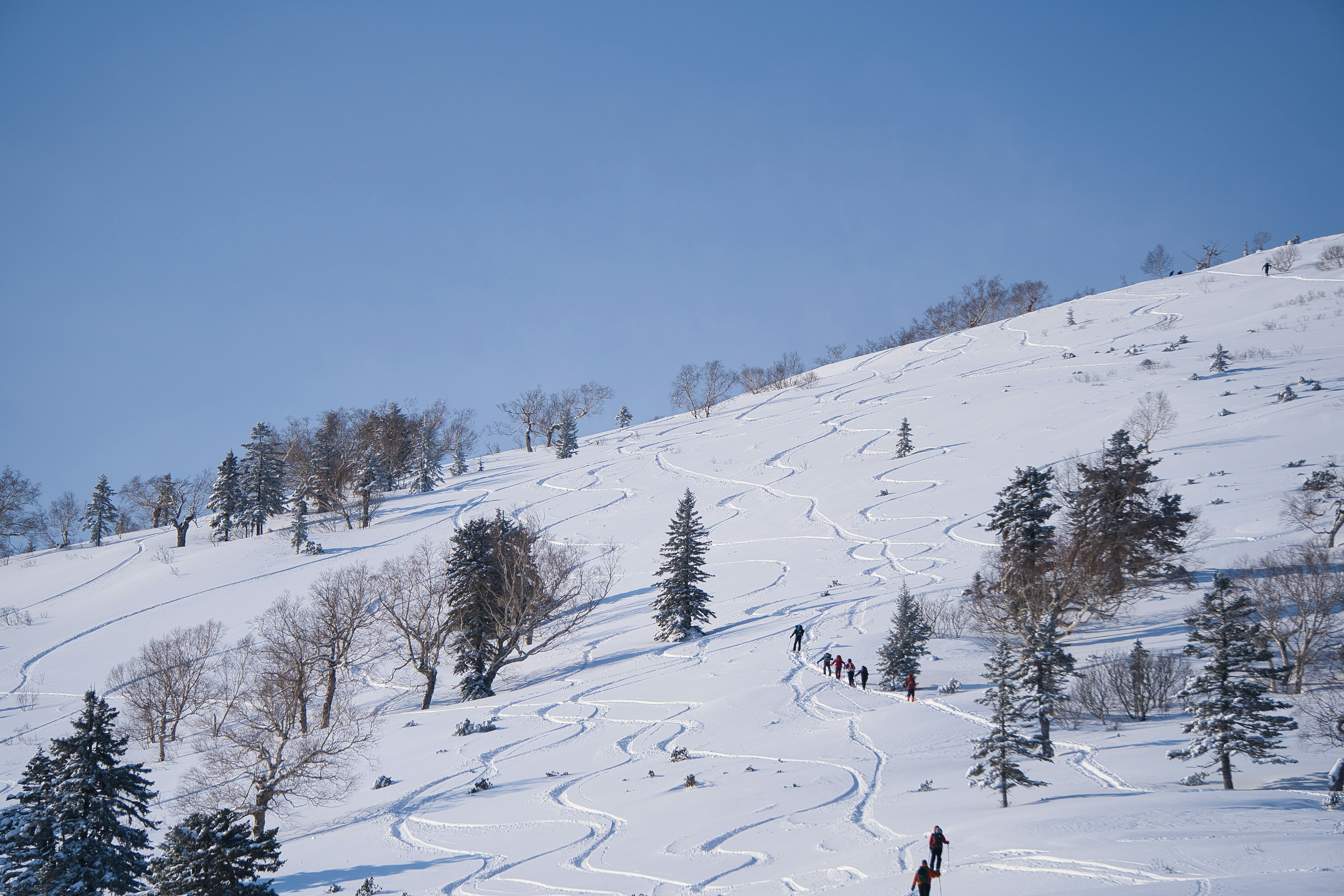 Menschen wandern einen schneebedeckten Hügel hinauf mit Bäumen im Hintergrund