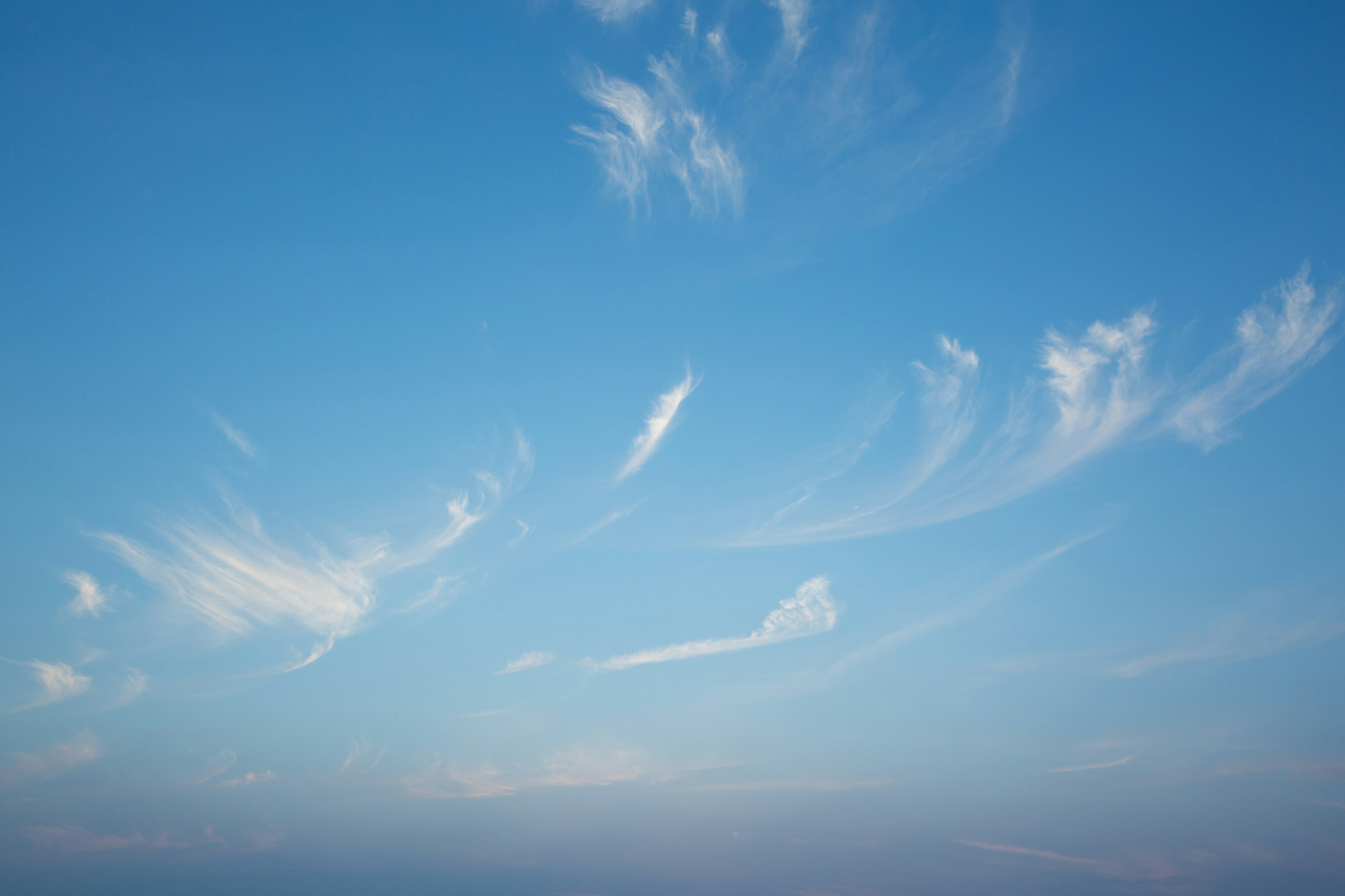 青空に浮かぶ白い雲の柔らかな形