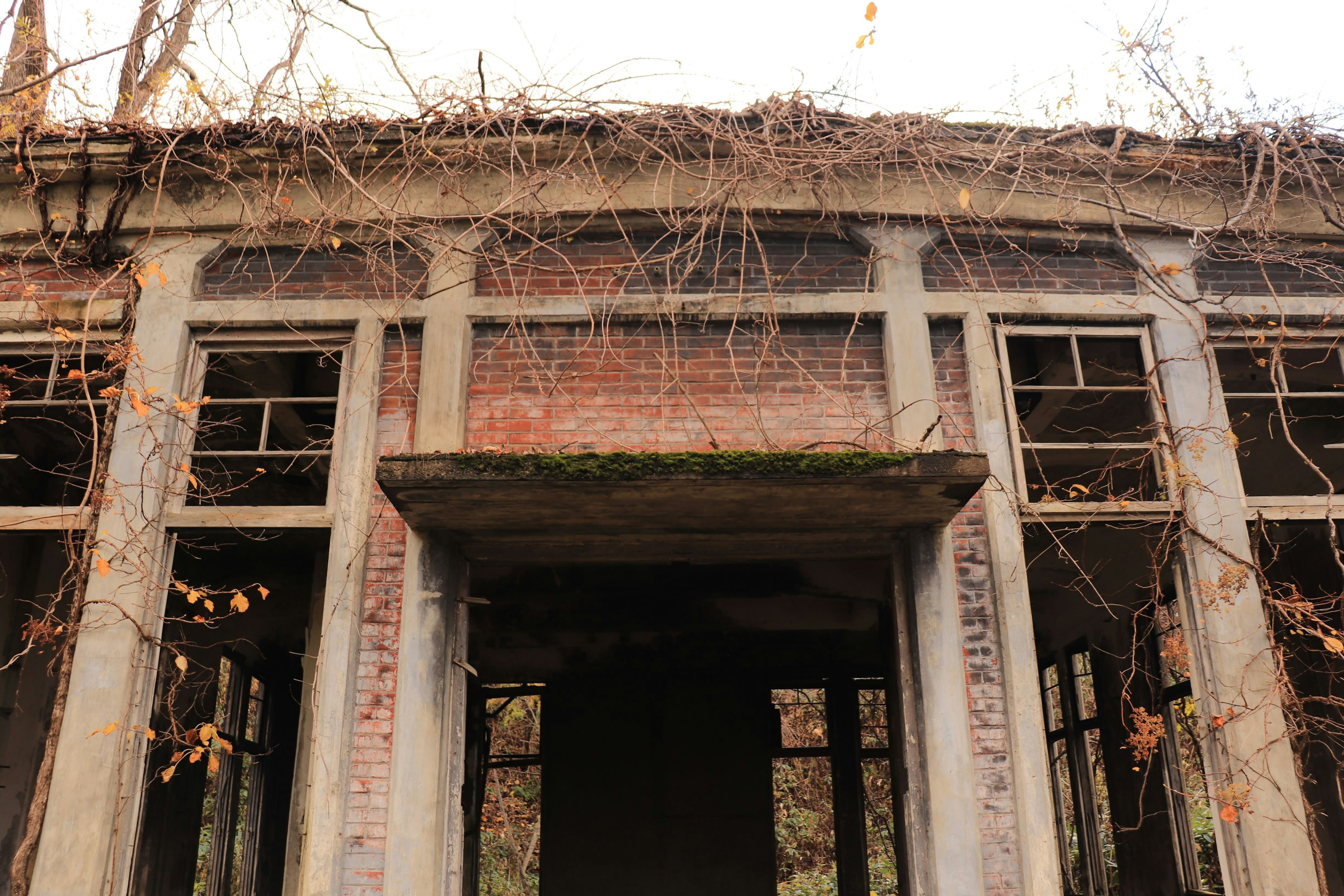 Facade of an abandoned building with broken windows and overgrown plants