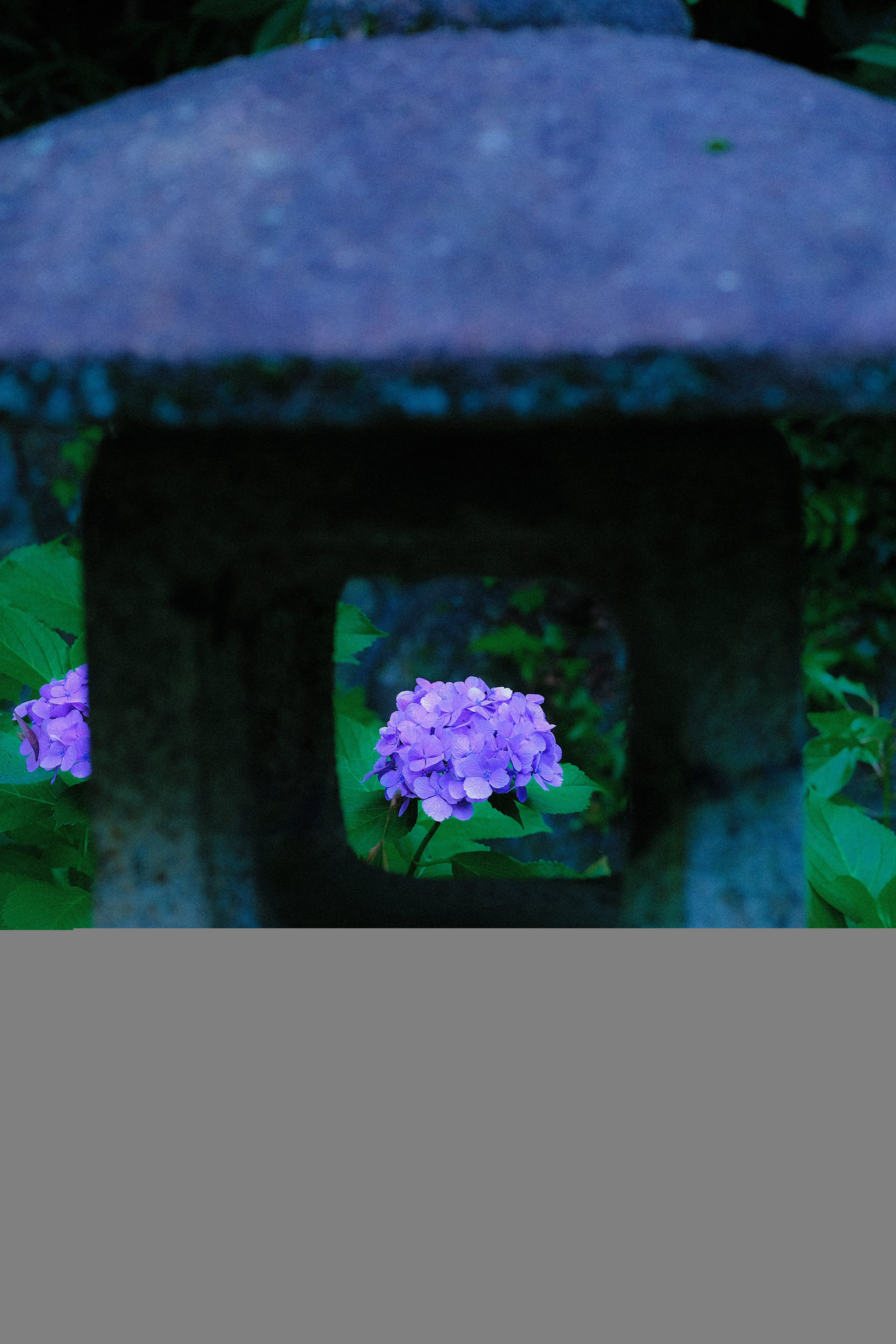 photo-wf7ez11cN3hsCz9BzmFC-image