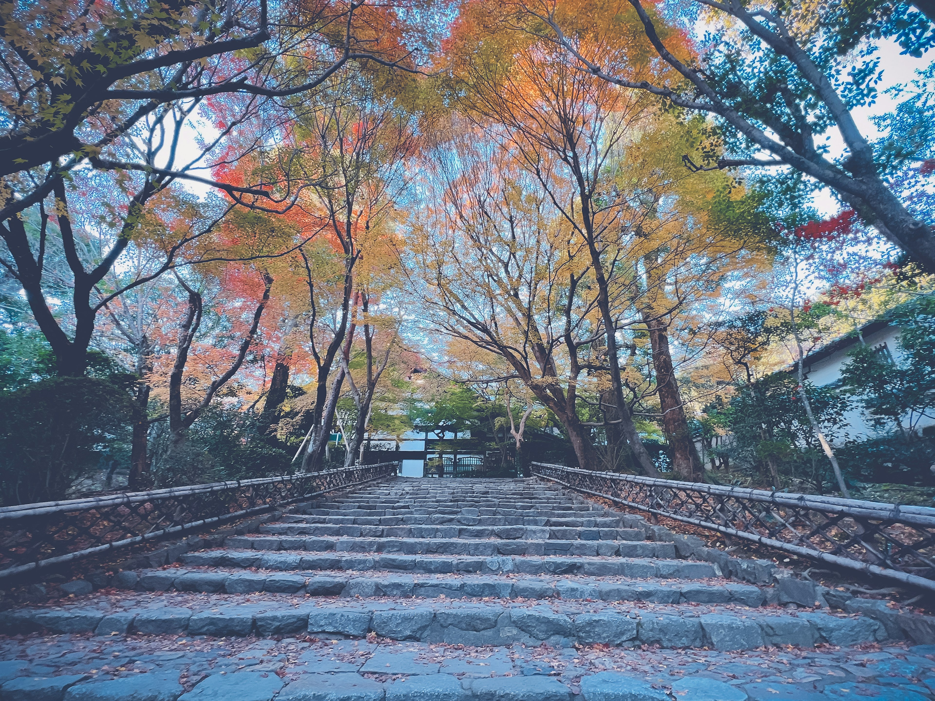 秋の色づいた木々に囲まれた石の階段