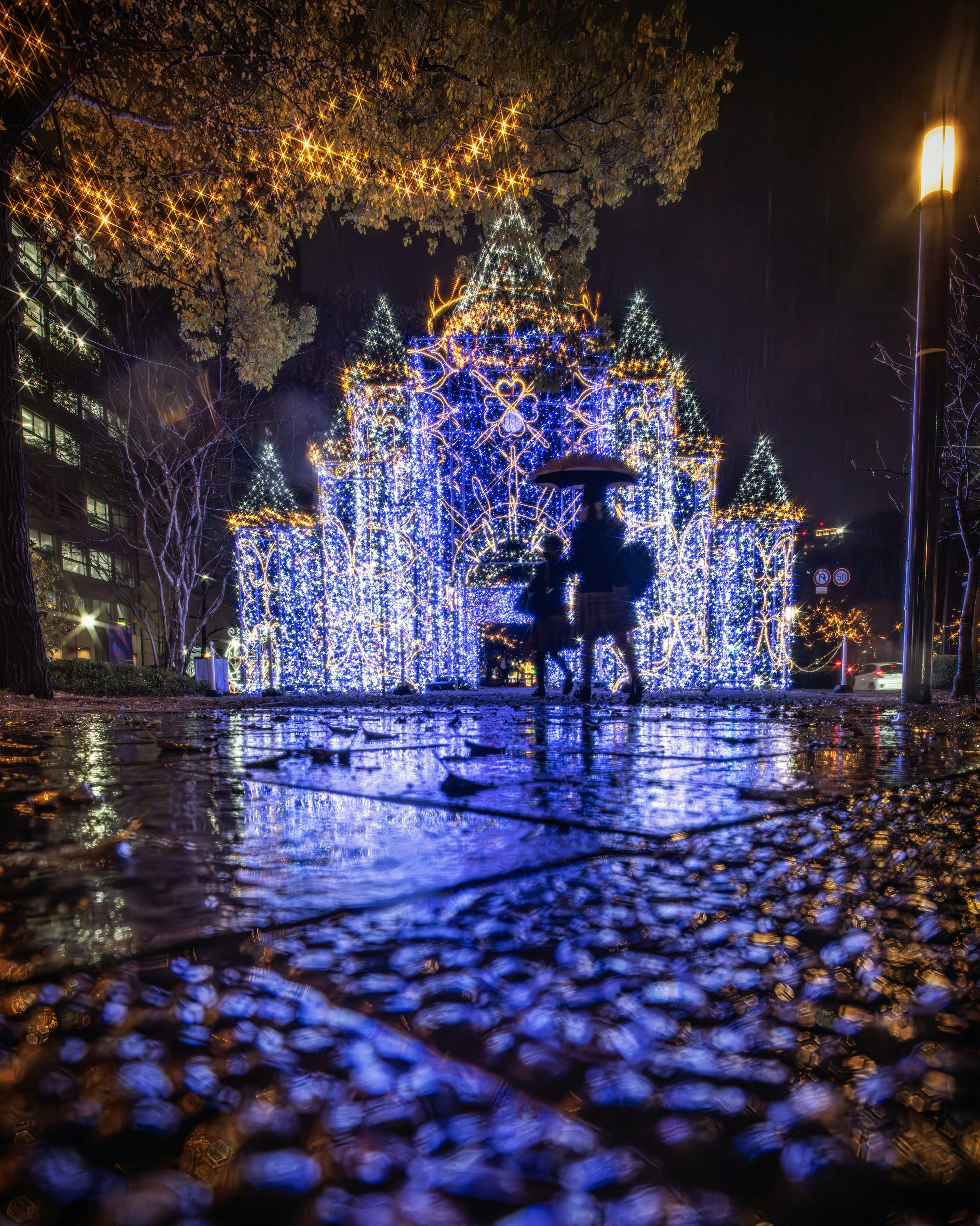 夜の公園にある美しいイルミネーションの飾りと雨に濡れた地面