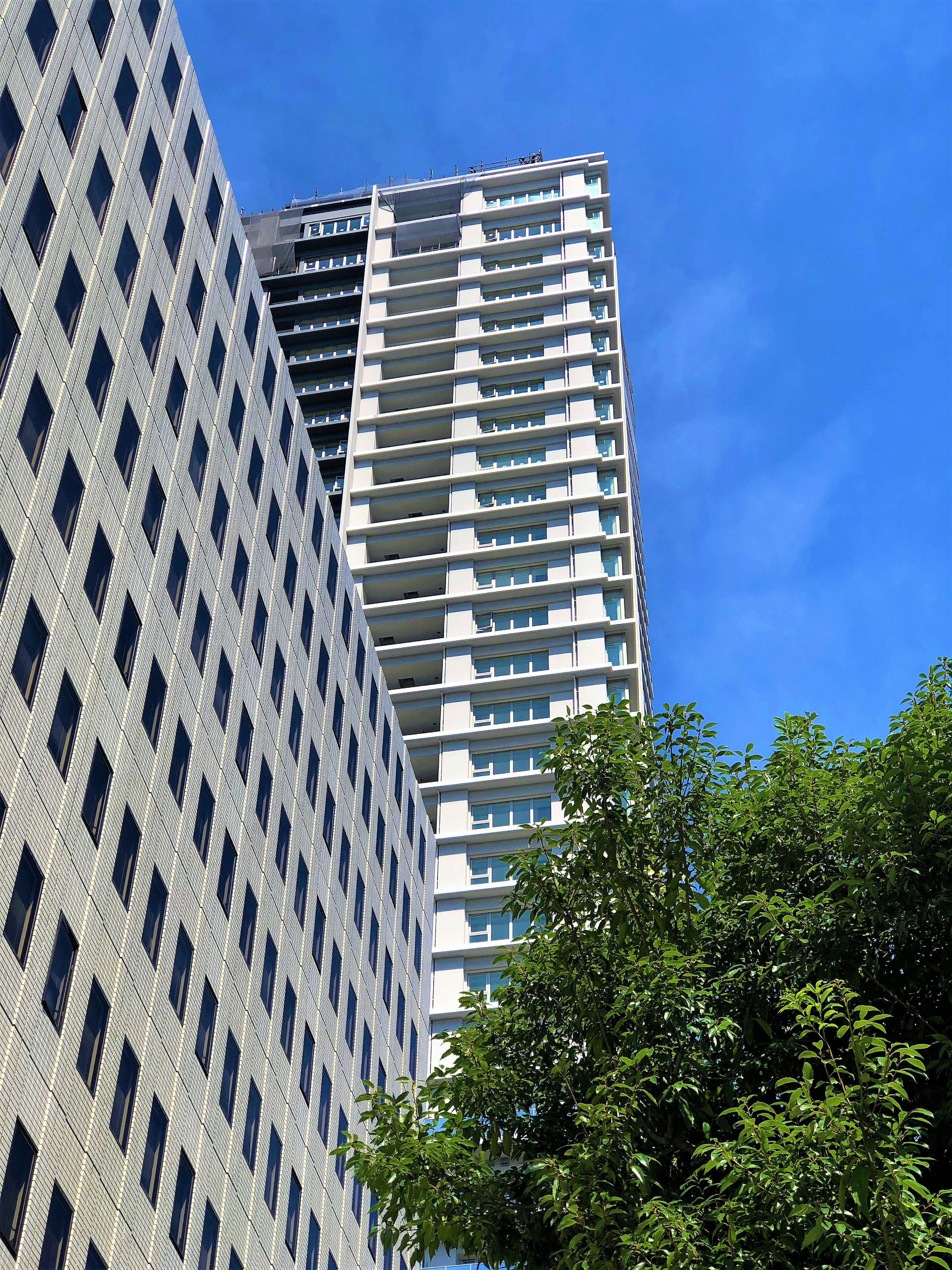 View of a skyscraper against a blue sky with green trees in the foreground