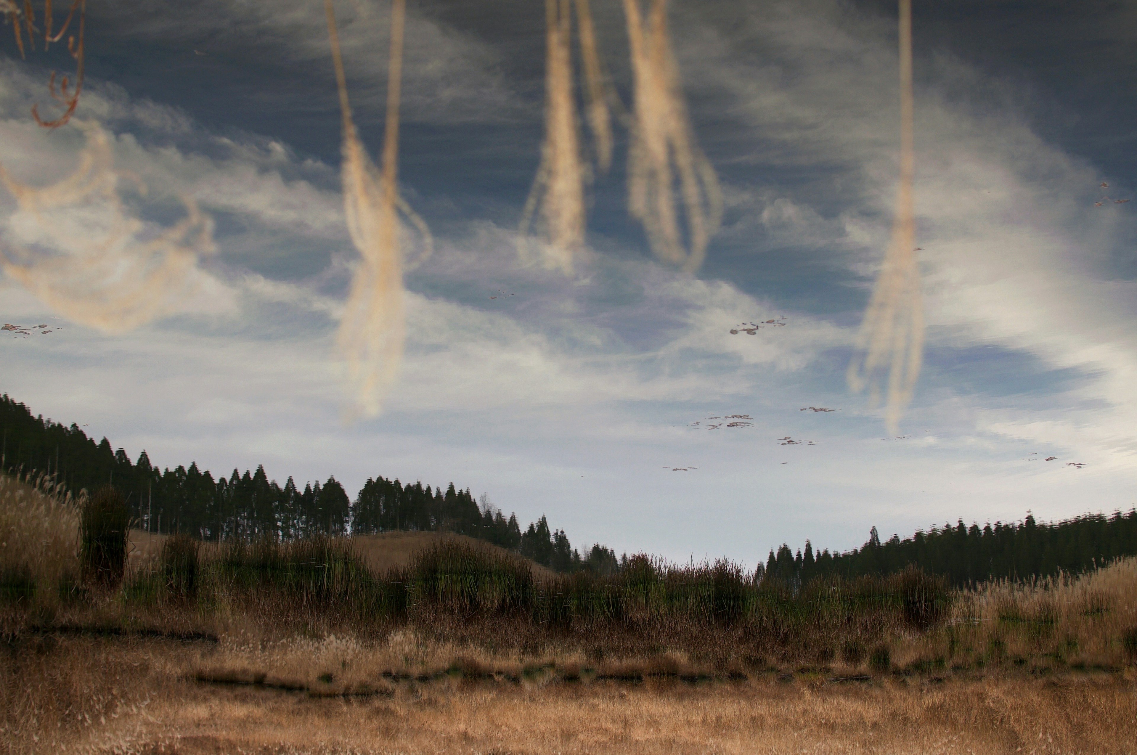 Dramatic sky and grassland landscape with elongated clouds