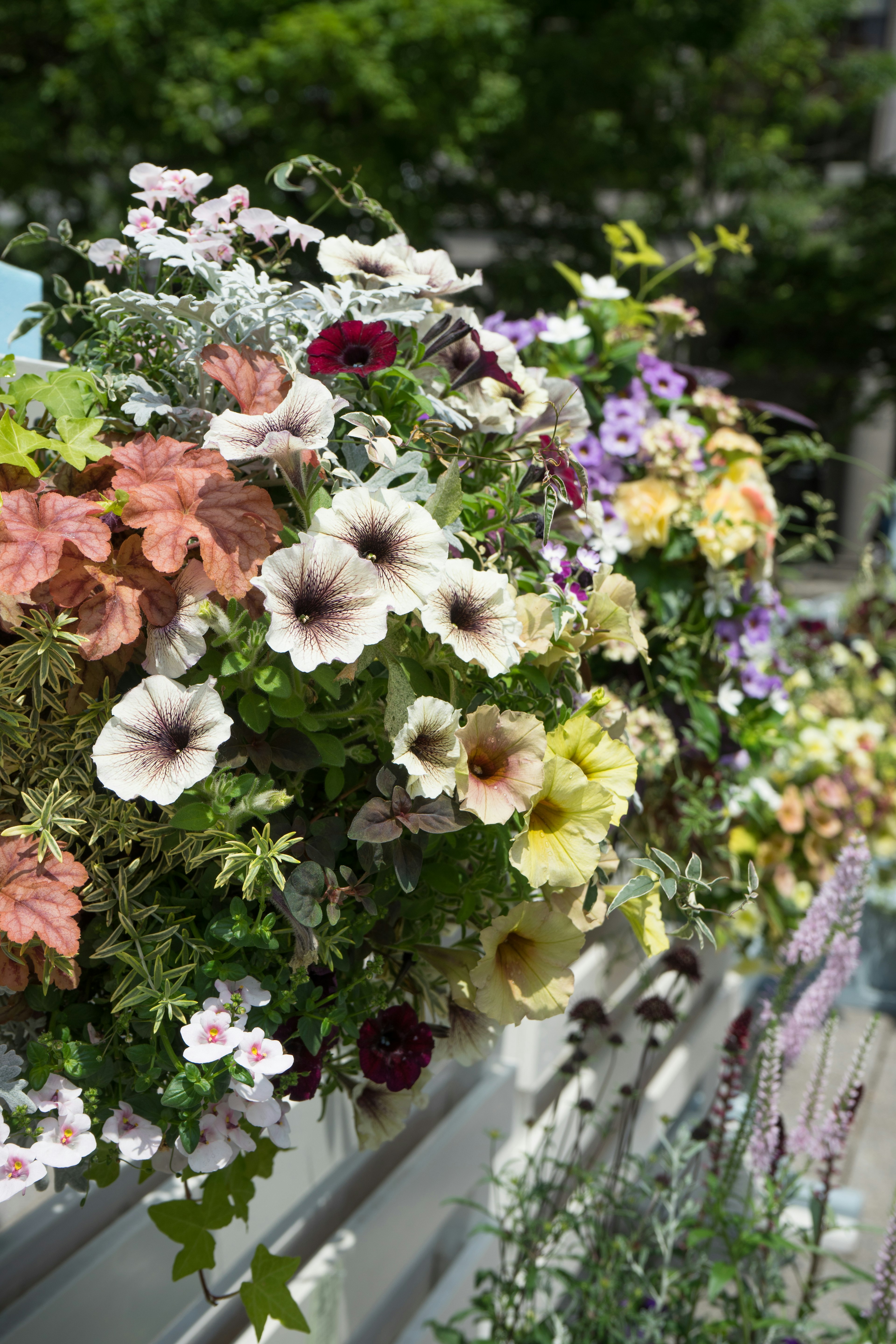 Lebendige Blumen in einem bunten Pflanzgefäß