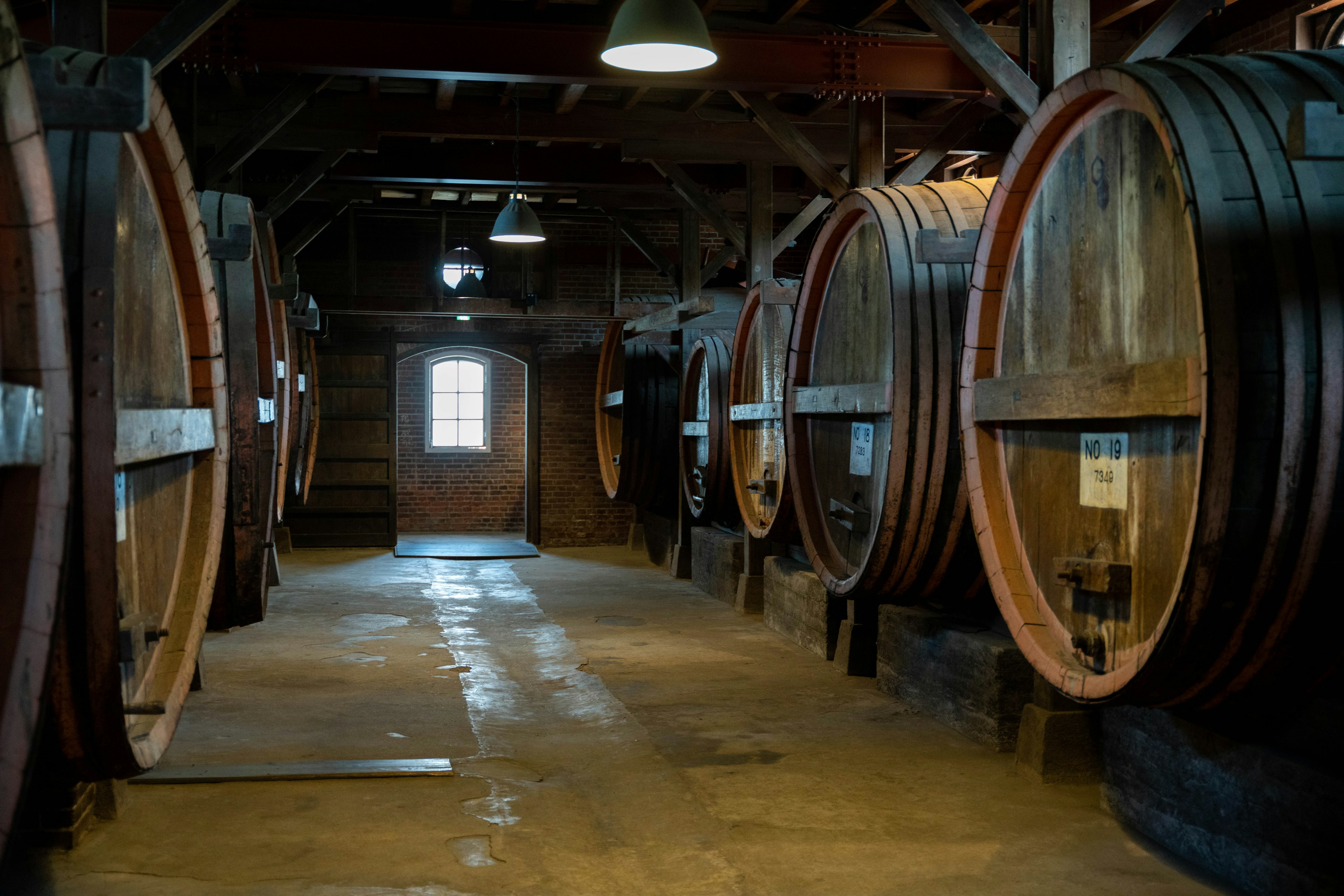 Interior de una bodega con barriles de madera