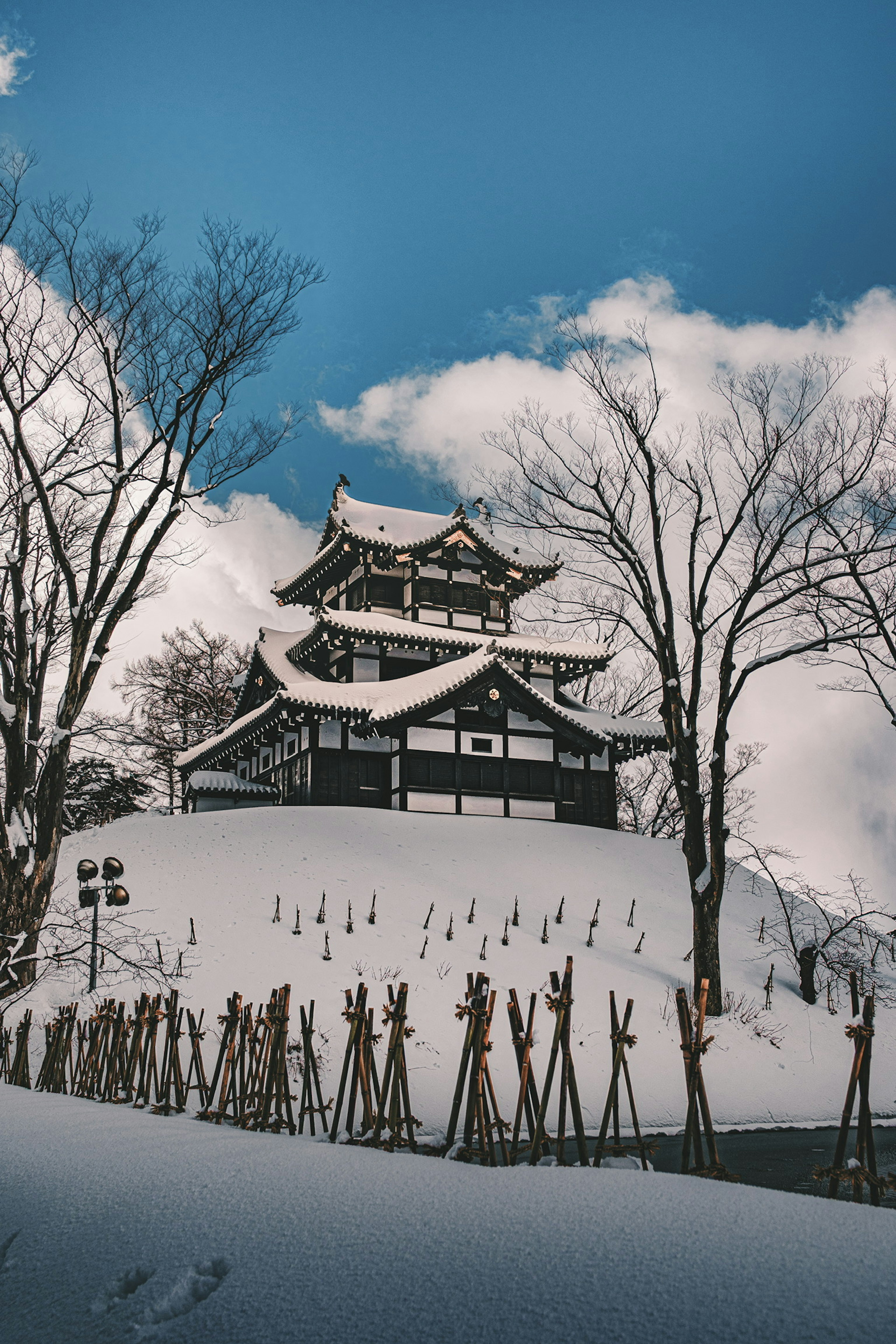 Snow-covered castle on a hill with winter trees