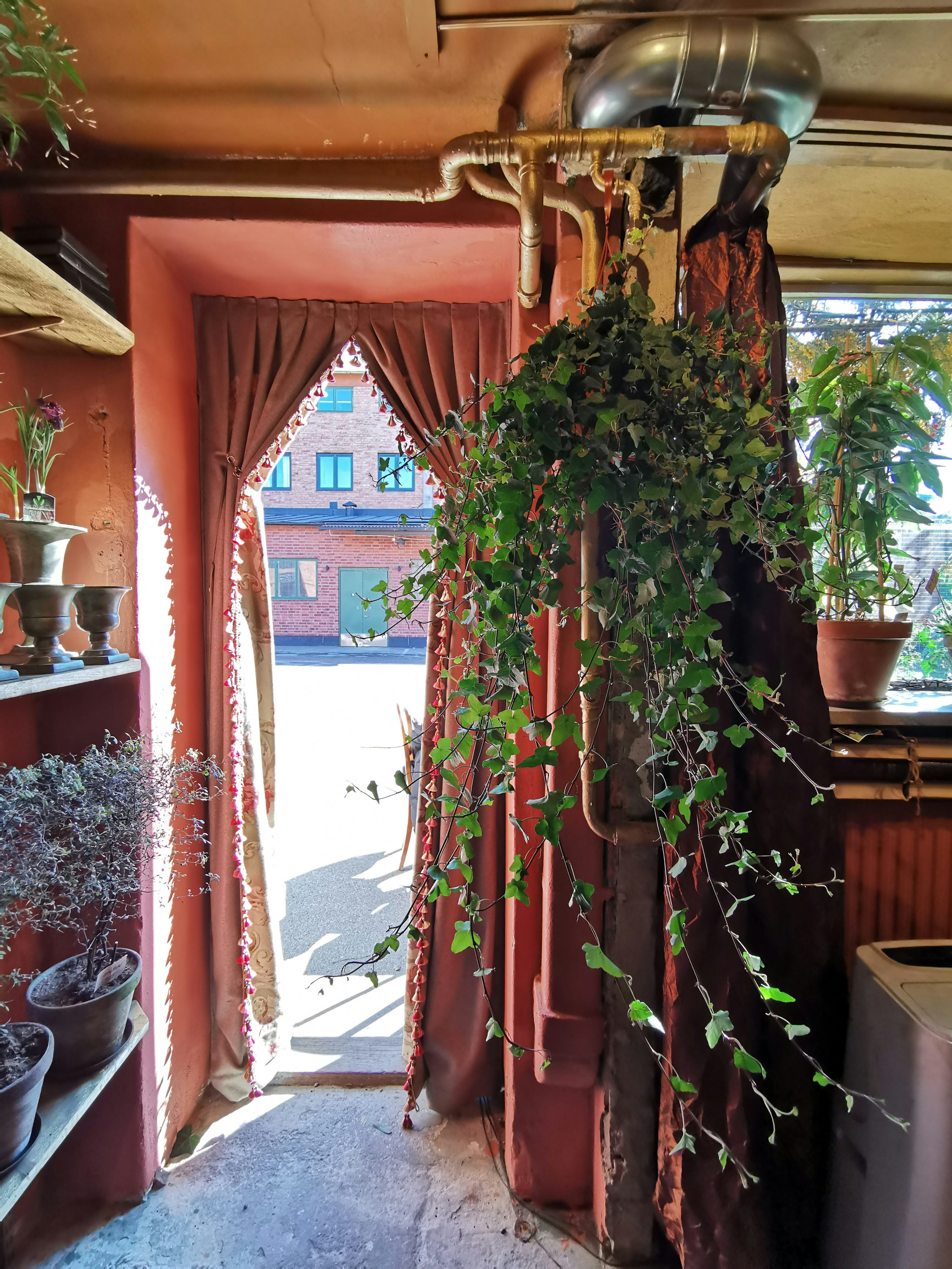 Indoor scene featuring a green plant hanging in front of a curtained doorway