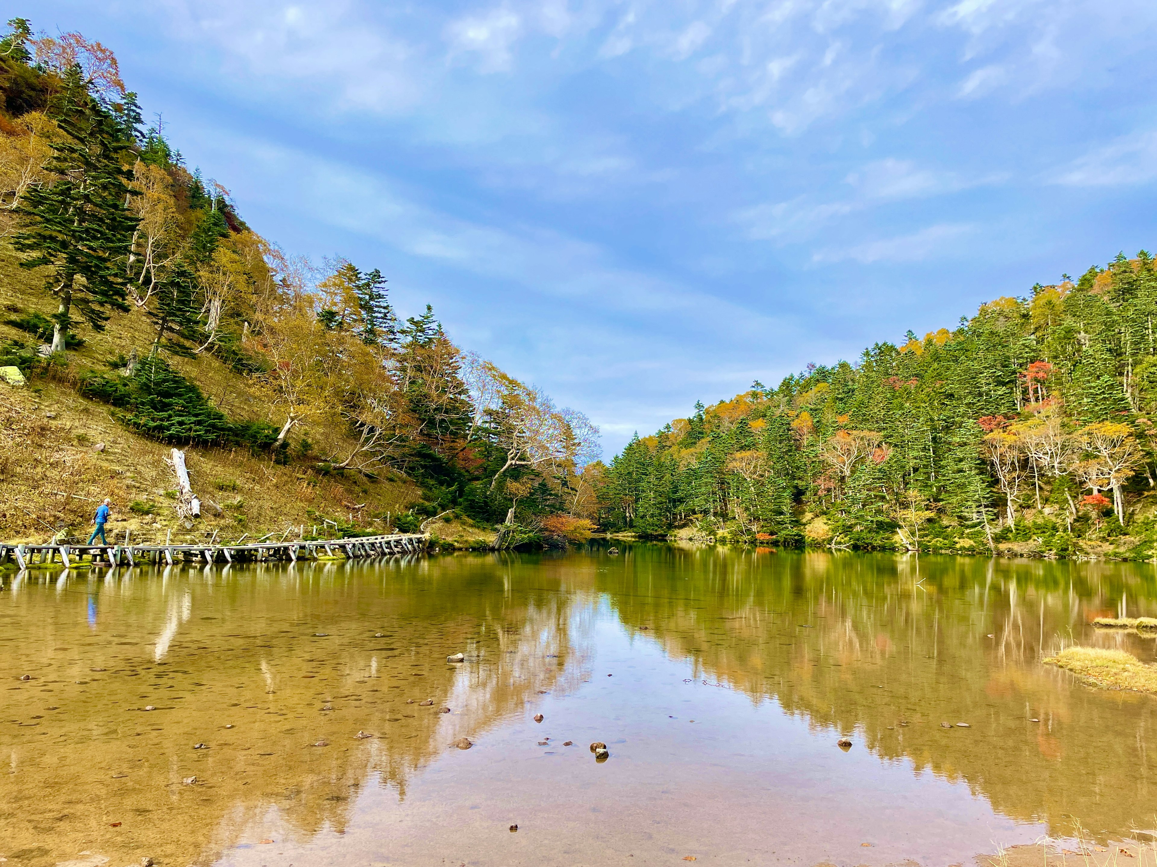 穏やかな湖と色づいた木々の風景