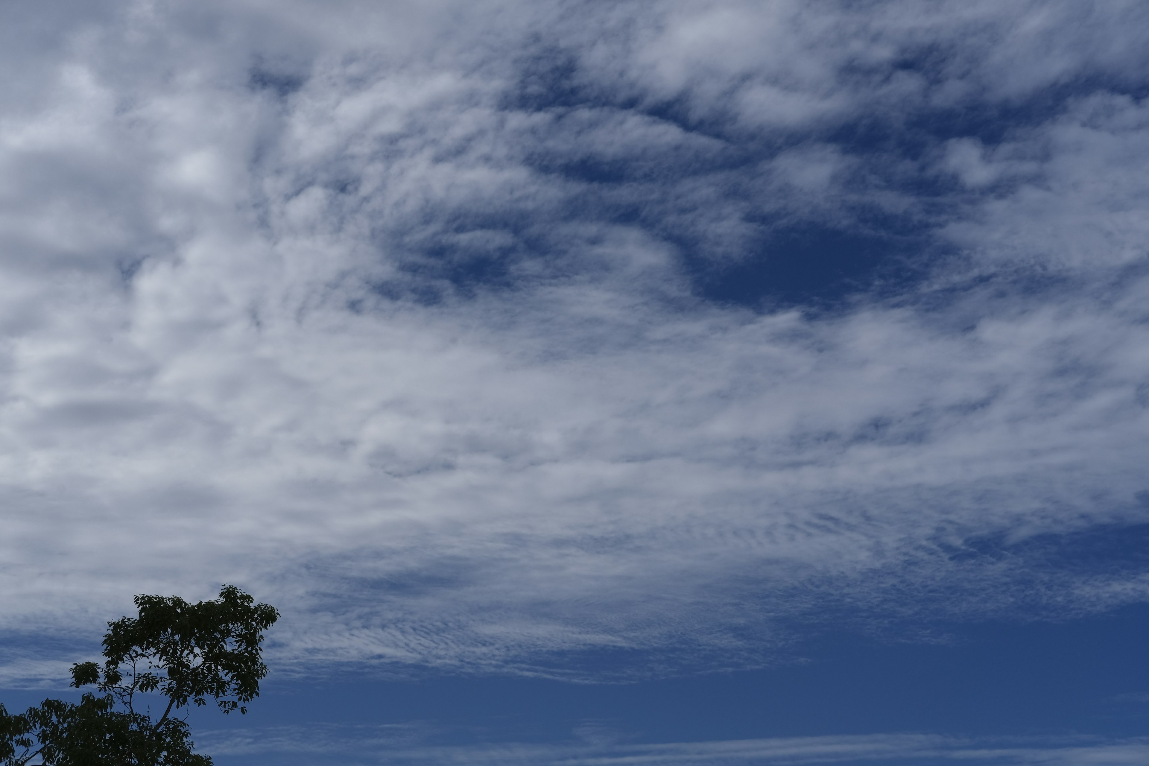 青空と白い雲が広がる風景