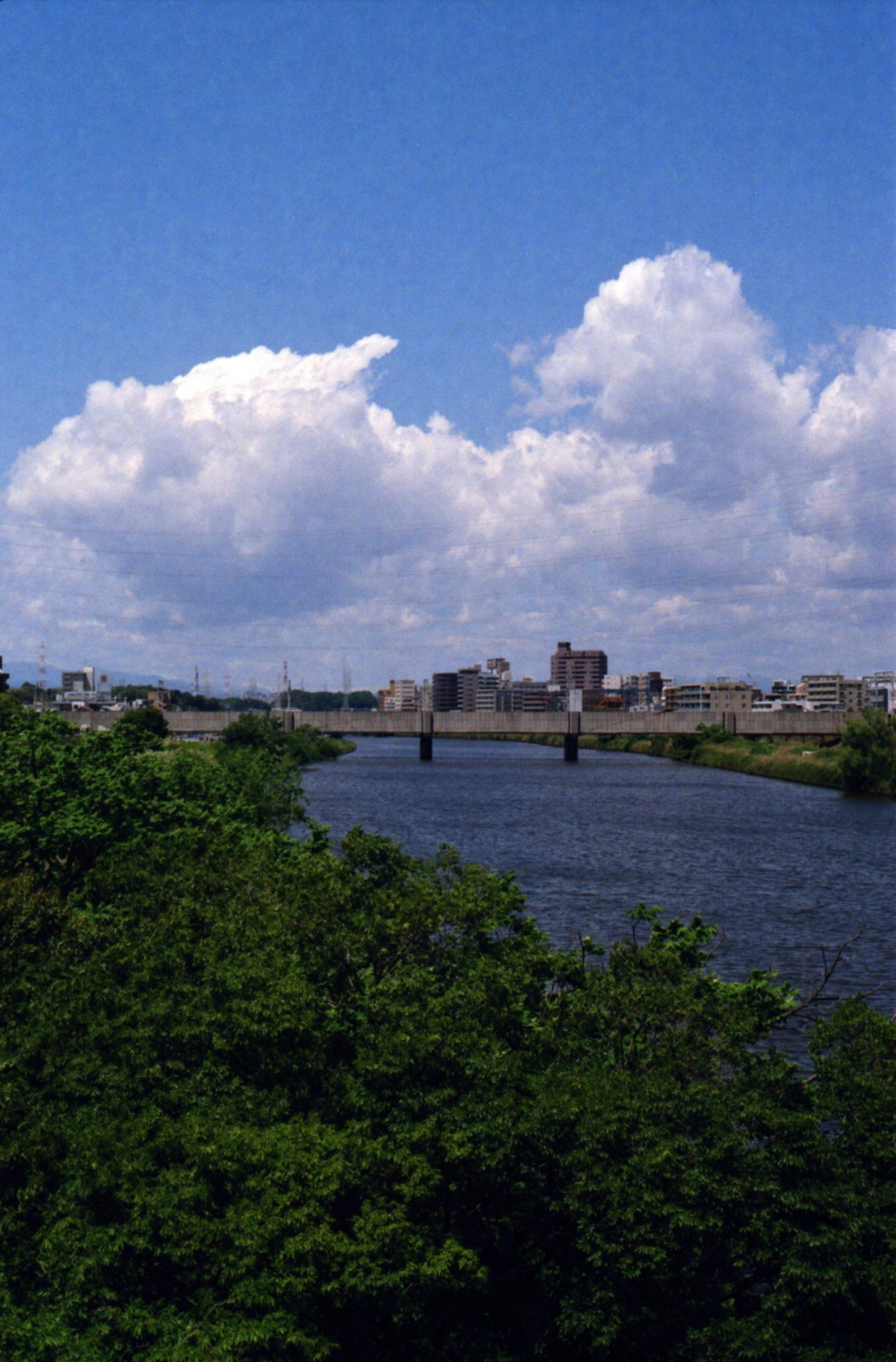 Scenic view of a river with lush greenery under a blue sky and fluffy white clouds