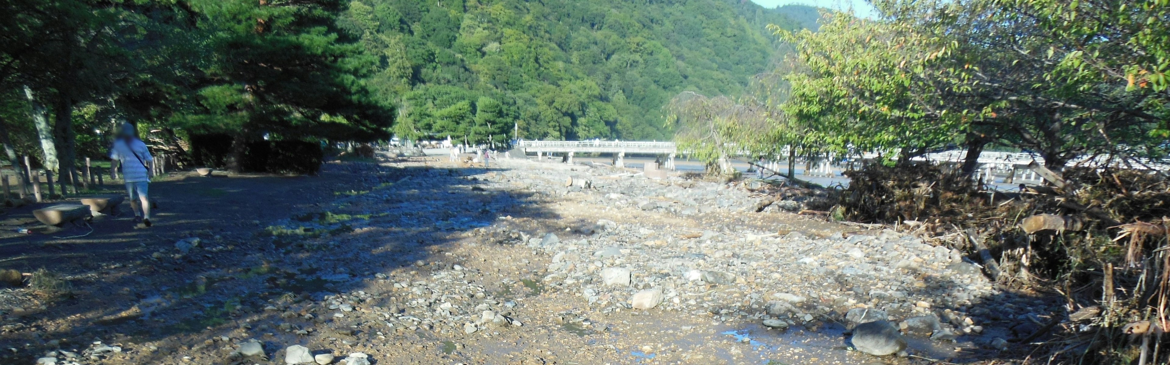 Landscape with a person standing on a cleared area surrounded by green mountains and trees