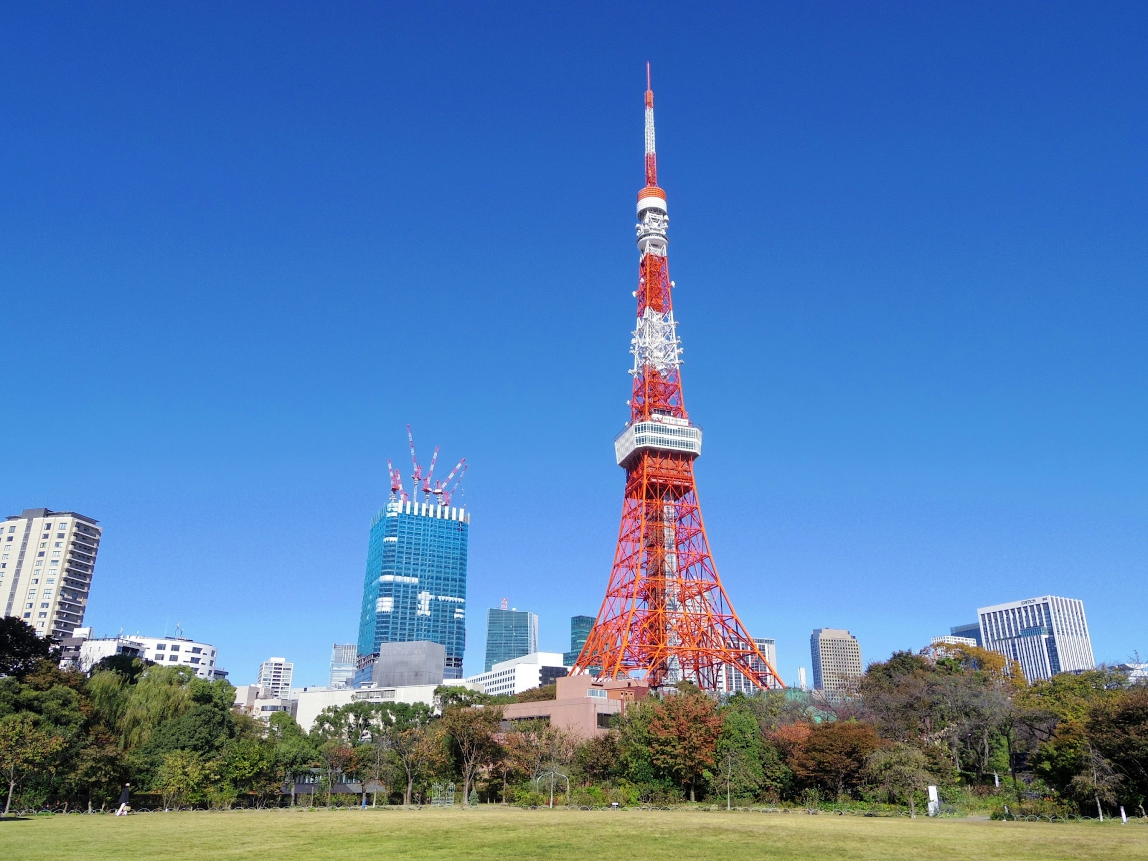 Tokyo Tower mit modernen Gebäuden im Hintergrund