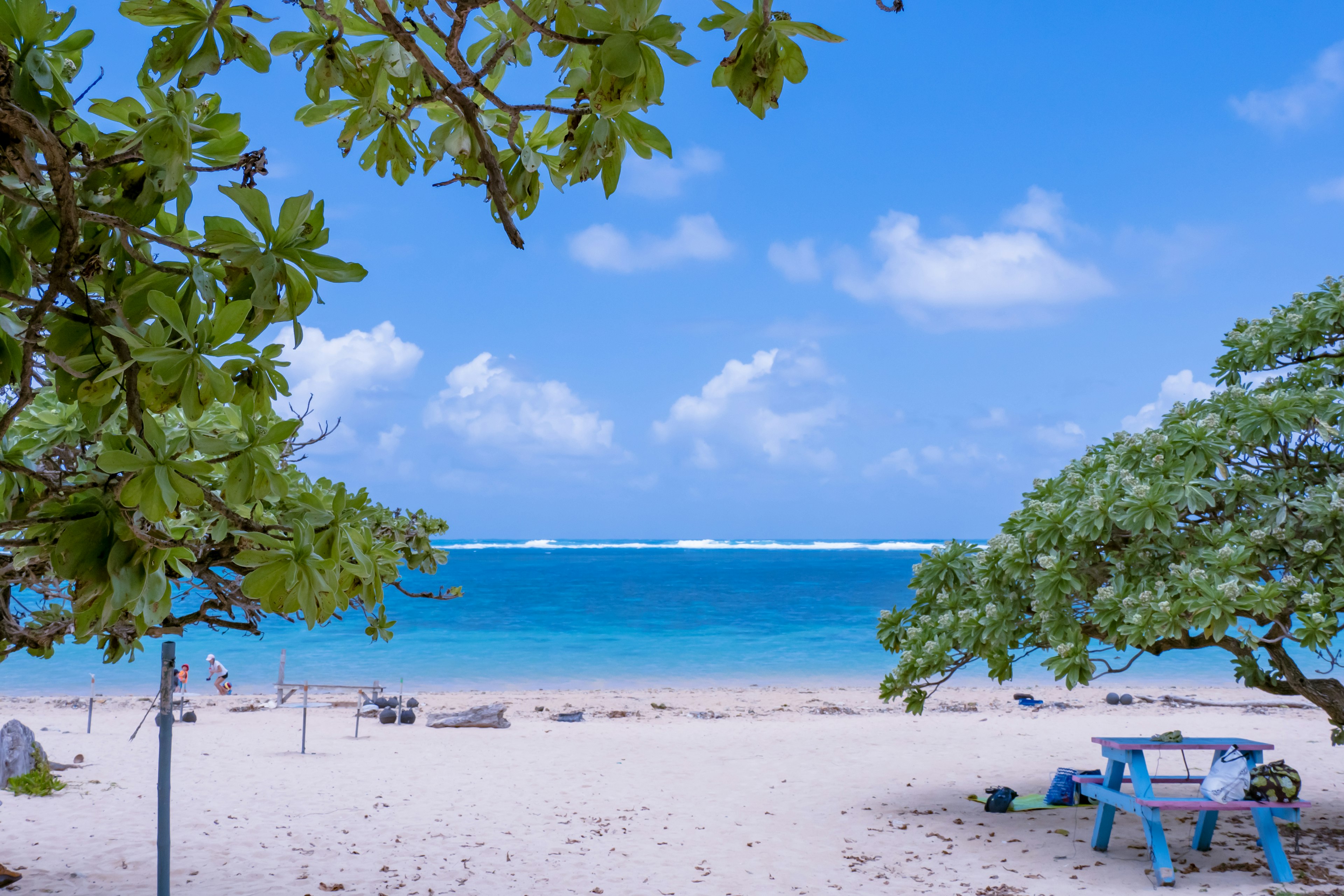 Vista panoramica della spiaggia con oceano blu e sabbia bianca alberi e sedie blu