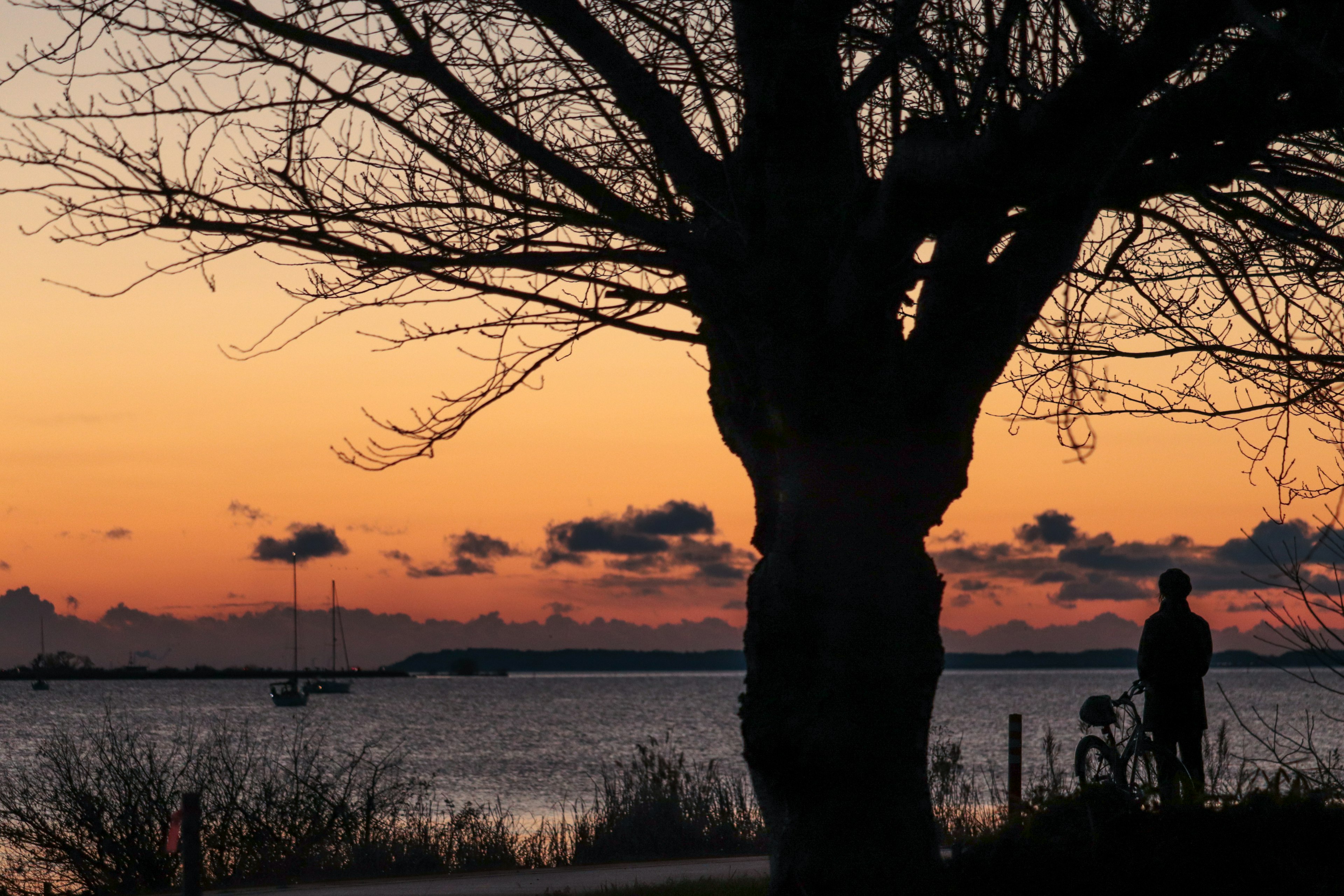 Silhouette einer Person und eines Hundes am Meer bei Sonnenuntergang