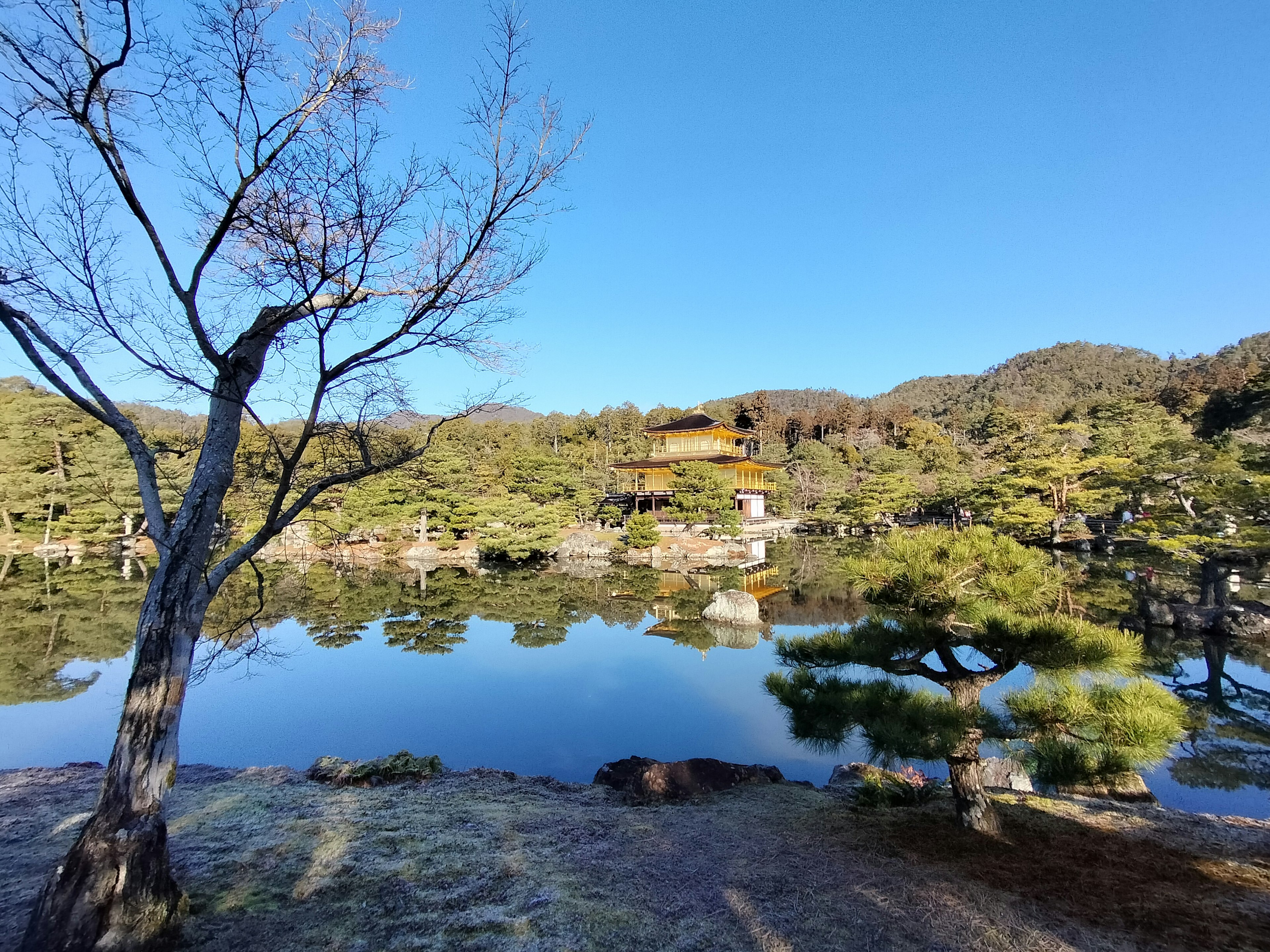 静かな池と金閣寺の景色を含む美しい自然の風景