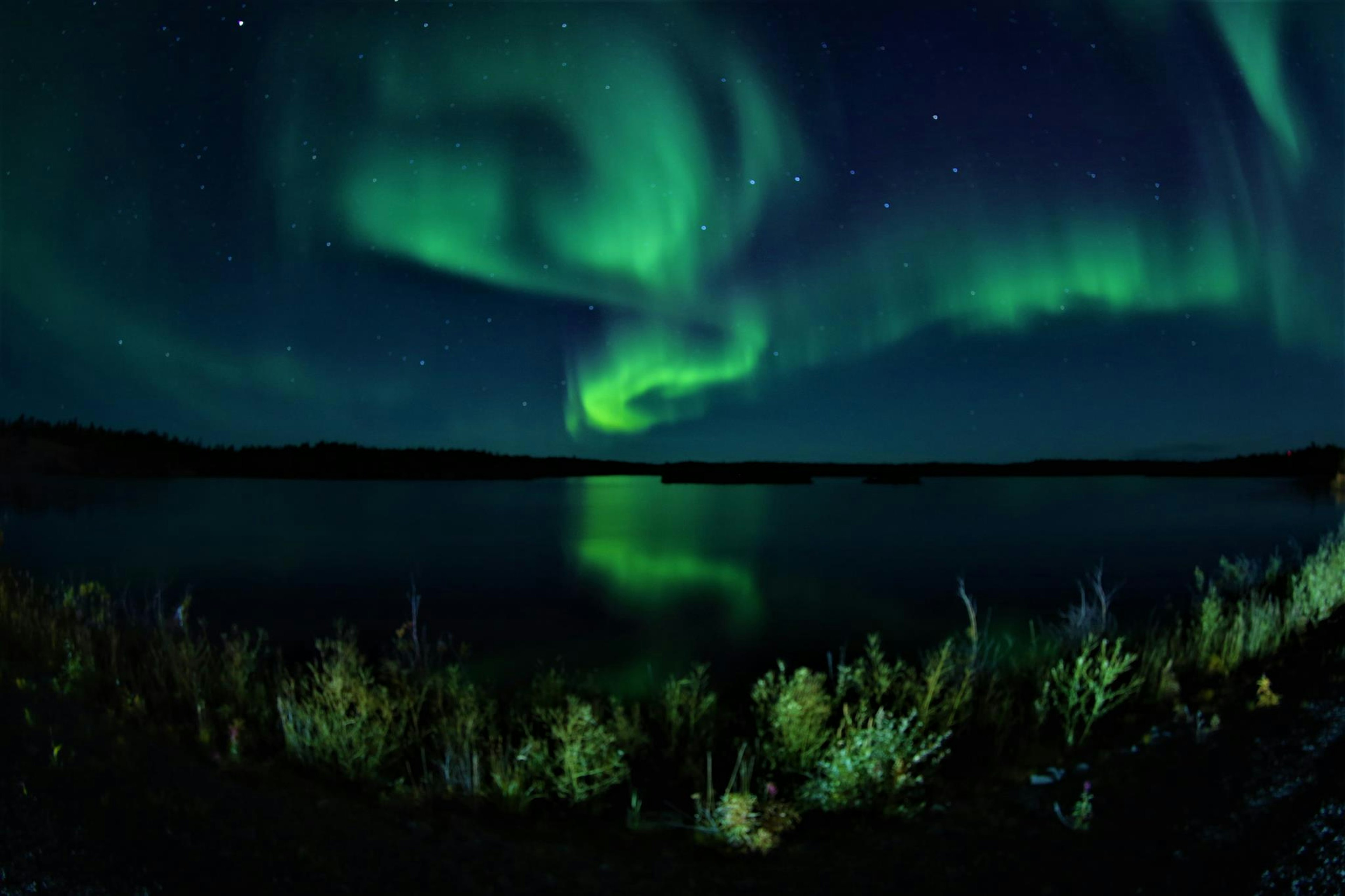 Wunderschöne Landschaft mit Nordlichtern, die sich nachts im Wasser spiegeln