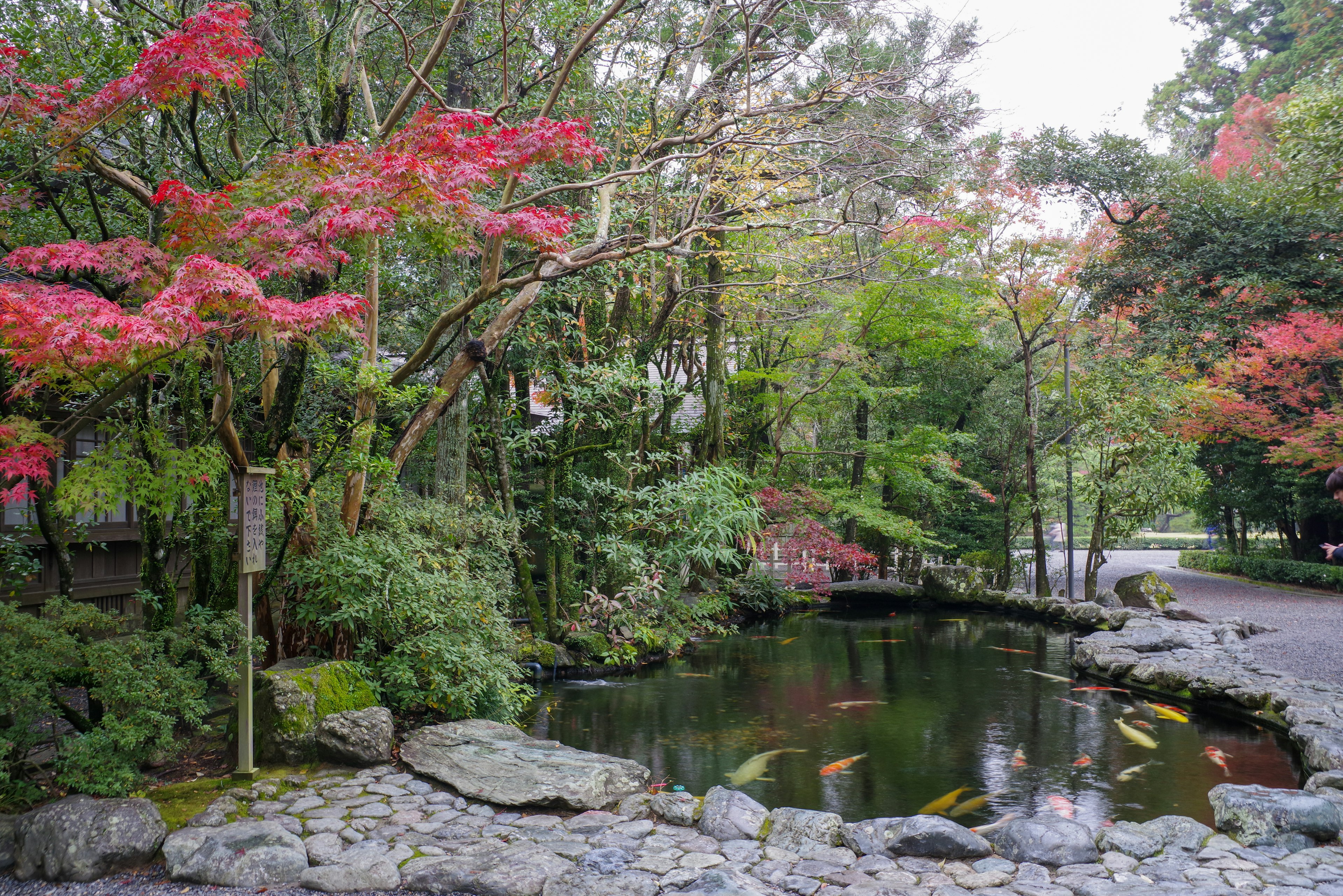 風景如畫的公園景觀，特徵是池塘和五彩繽紛的樹木