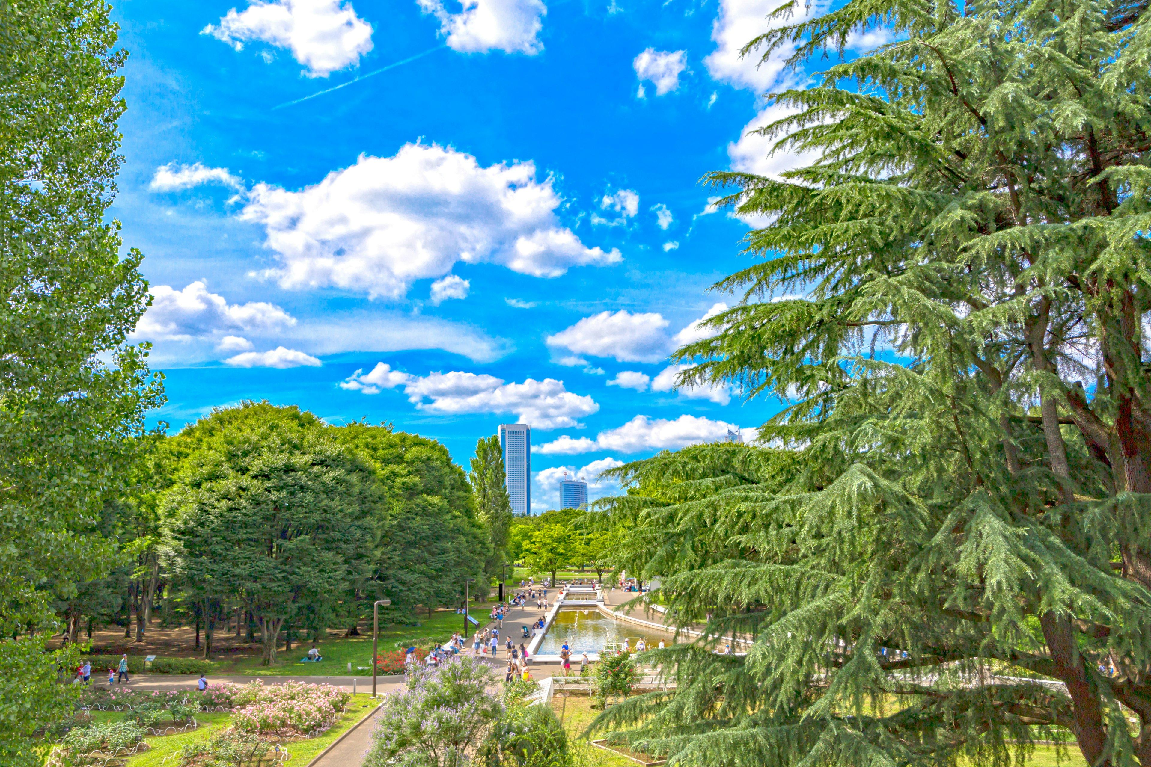 Paisaje del parque con cielo azul y nubes blancas árboles verdes y fuente visible