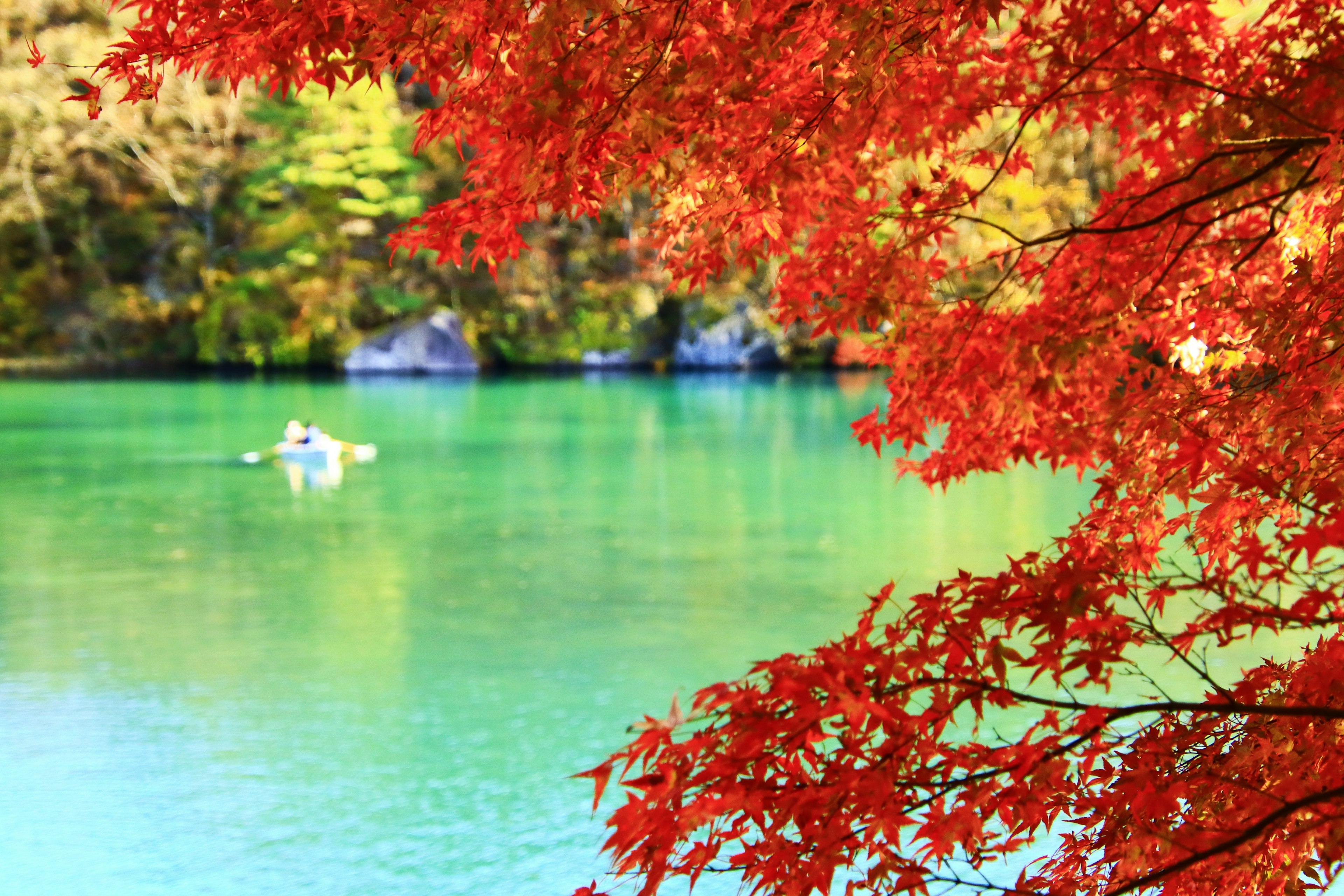 Foglie d'autunno rosse vivaci che incorniciano un lago turchese sereno