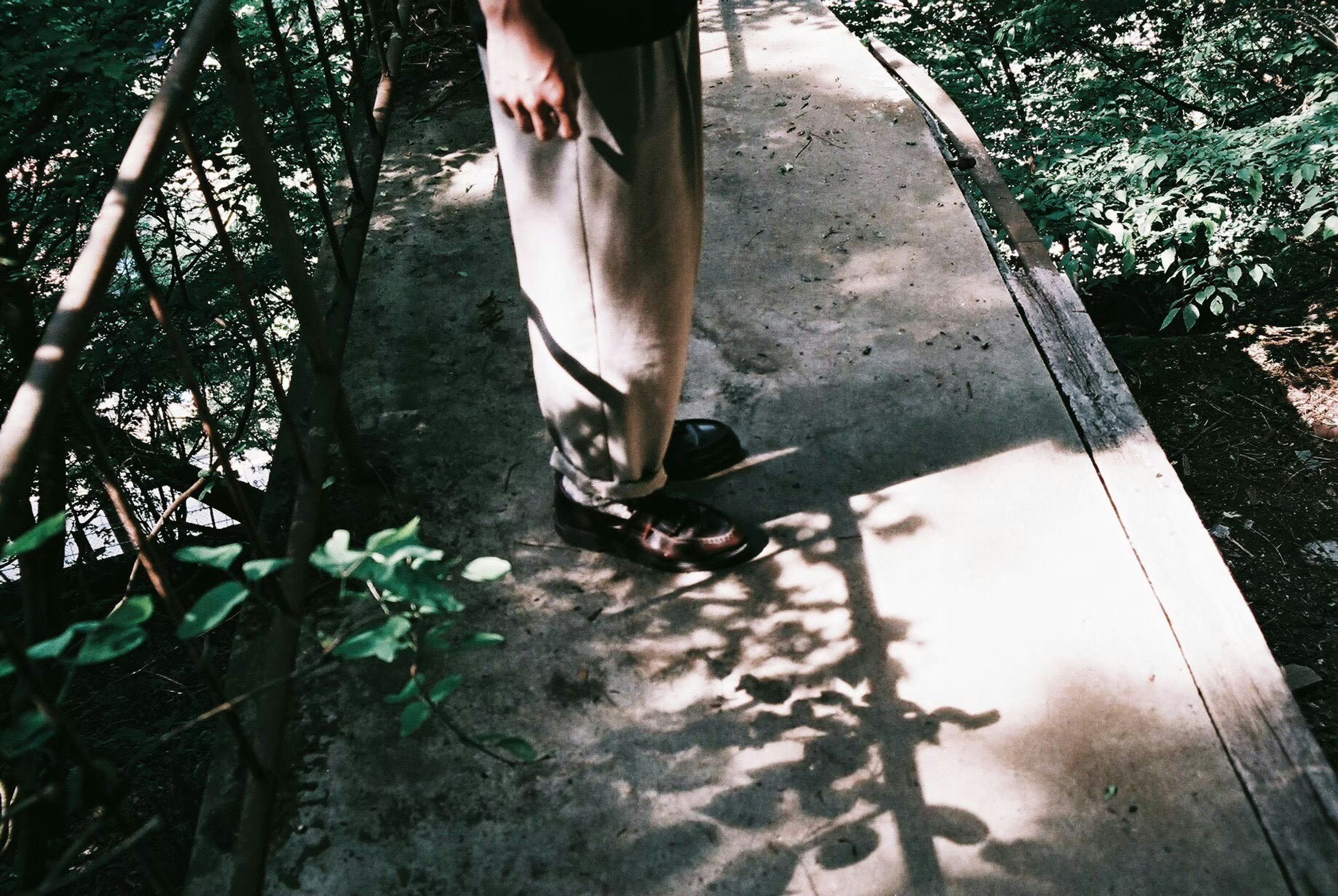 A person's feet on a pathway surrounded by greenery and shadows