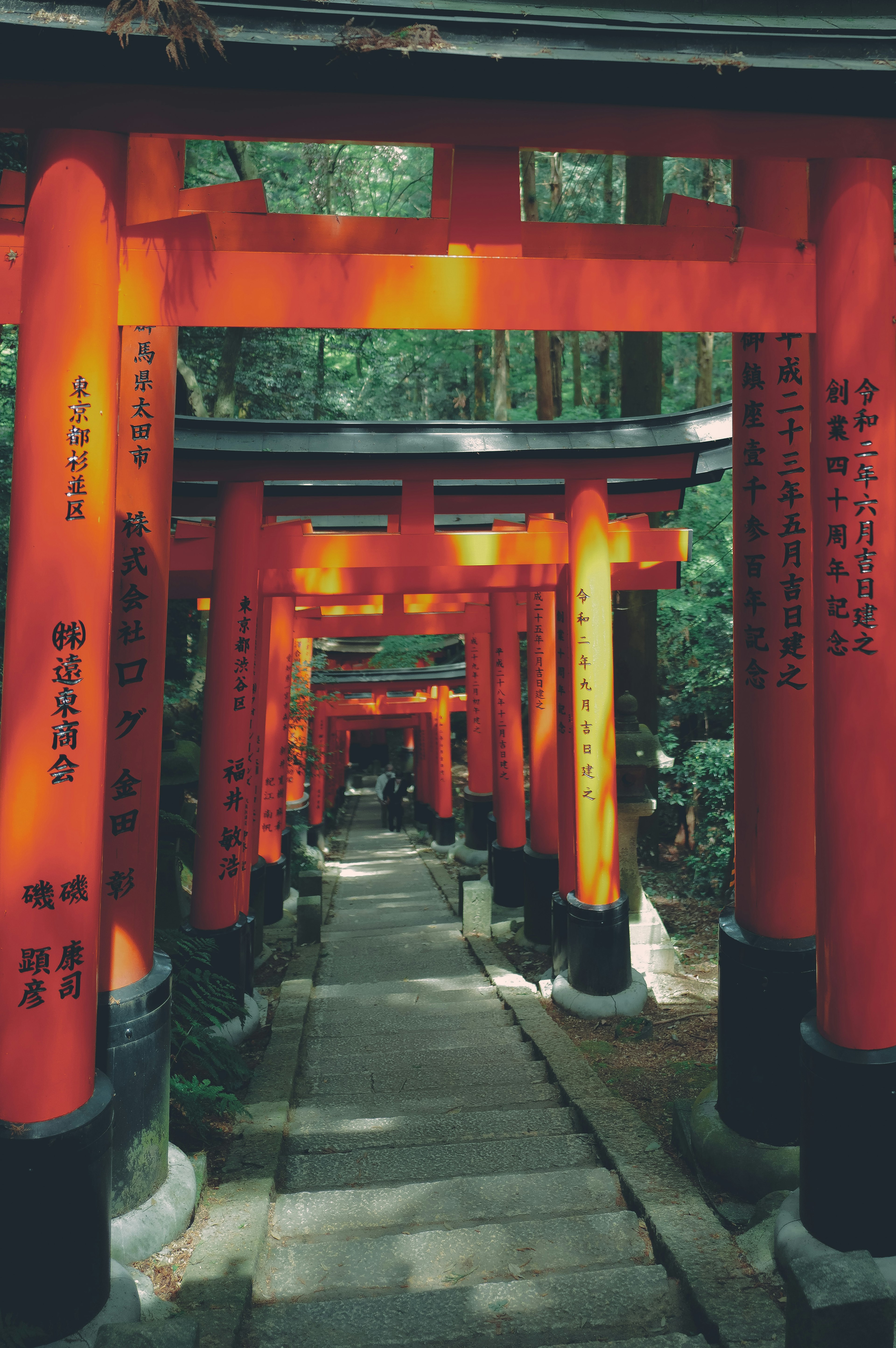 Jalan yang dipenuhi gerbang torii merah cerah di hutan yang rimbun