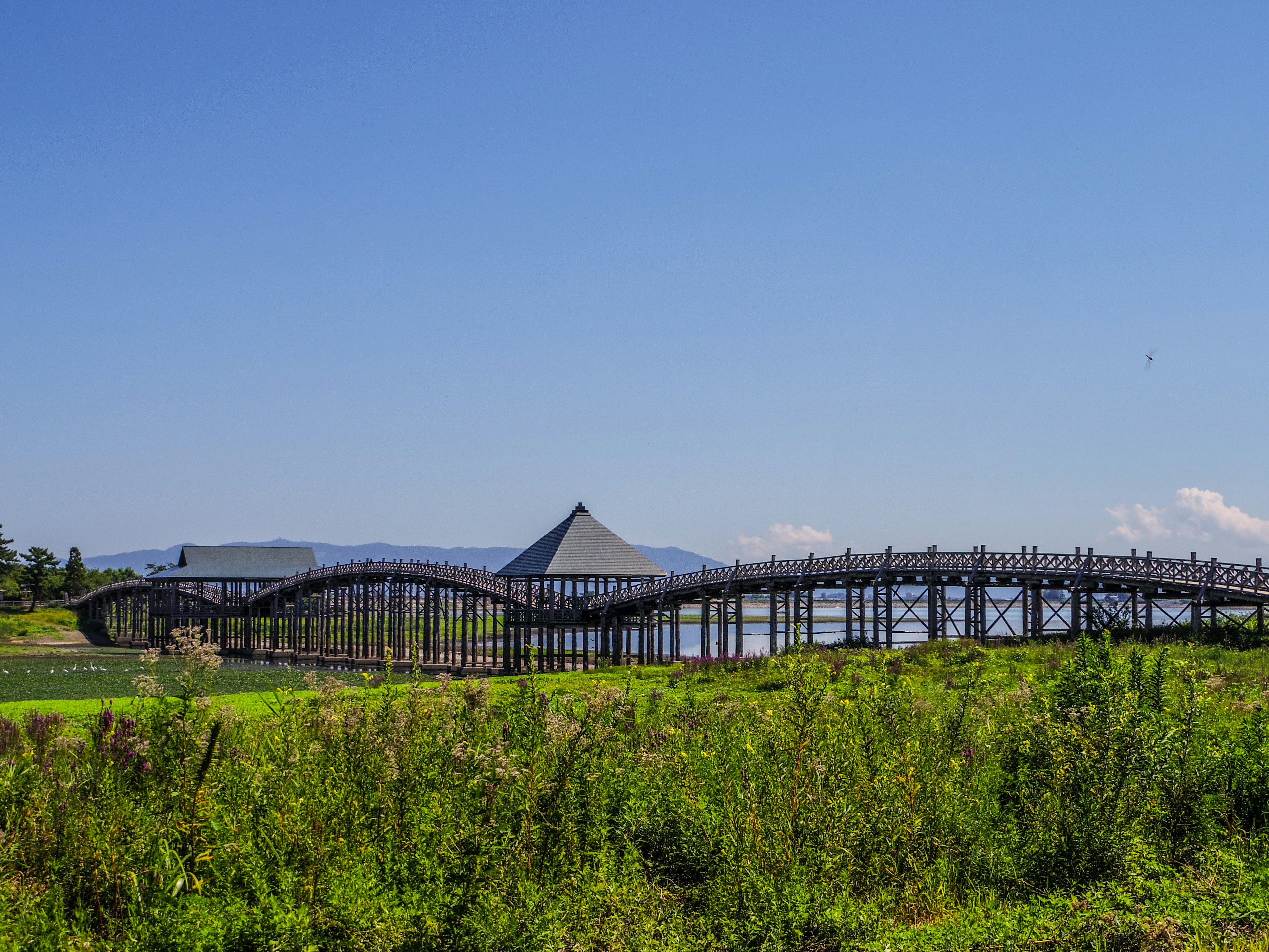 Pont en bois ondulé sous un ciel bleu clair avec des montagnes en arrière-plan