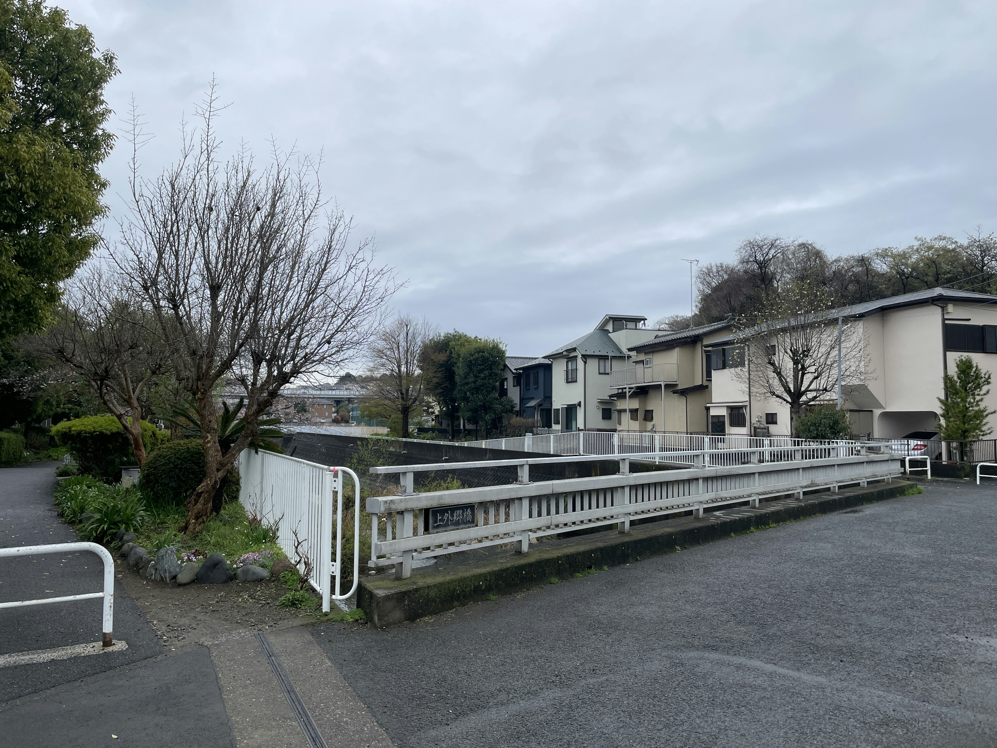 Scena suburbana con edifici residenziali e alberi spogli