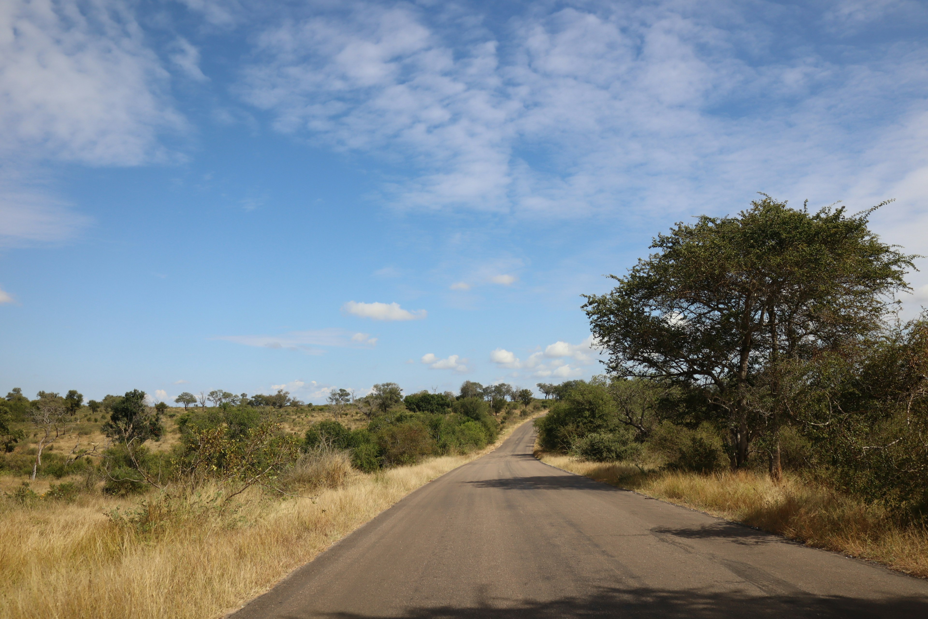 Road through a scenic landscape with blue sky and clouds