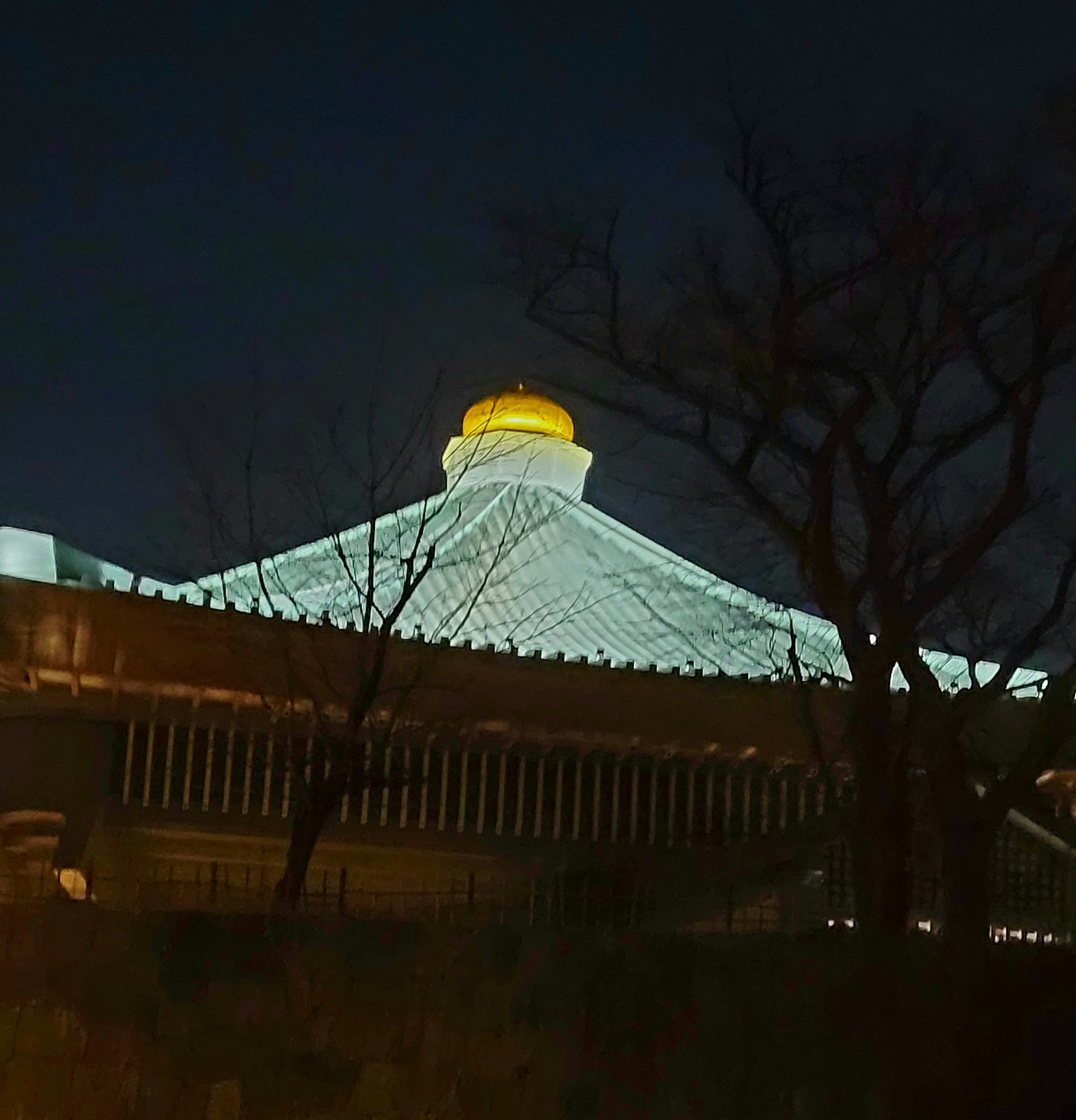 Edificio con un tetto a cupola dorata illuminato di notte