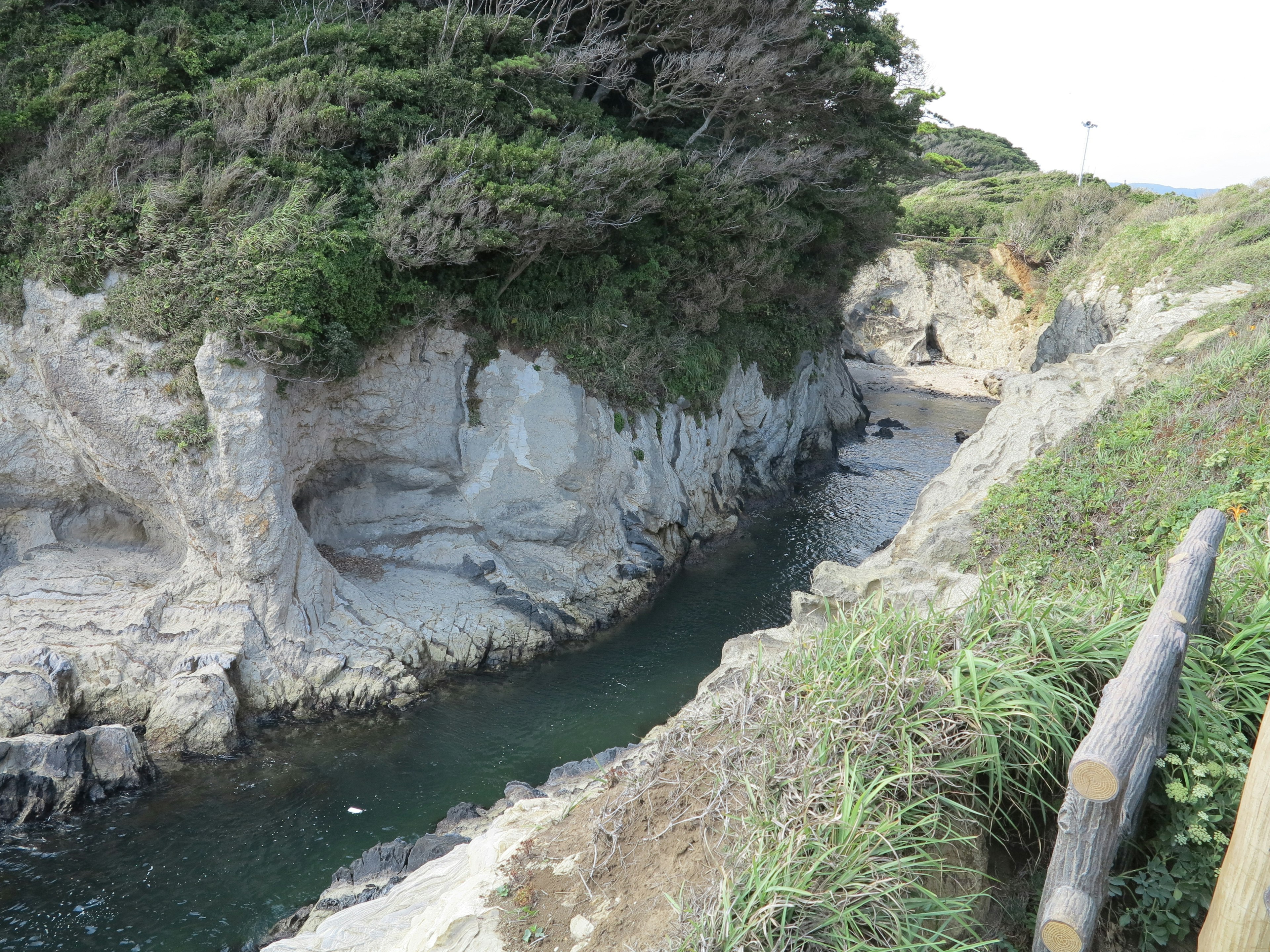 Coastal landscape with rocky cliffs and green vegetation