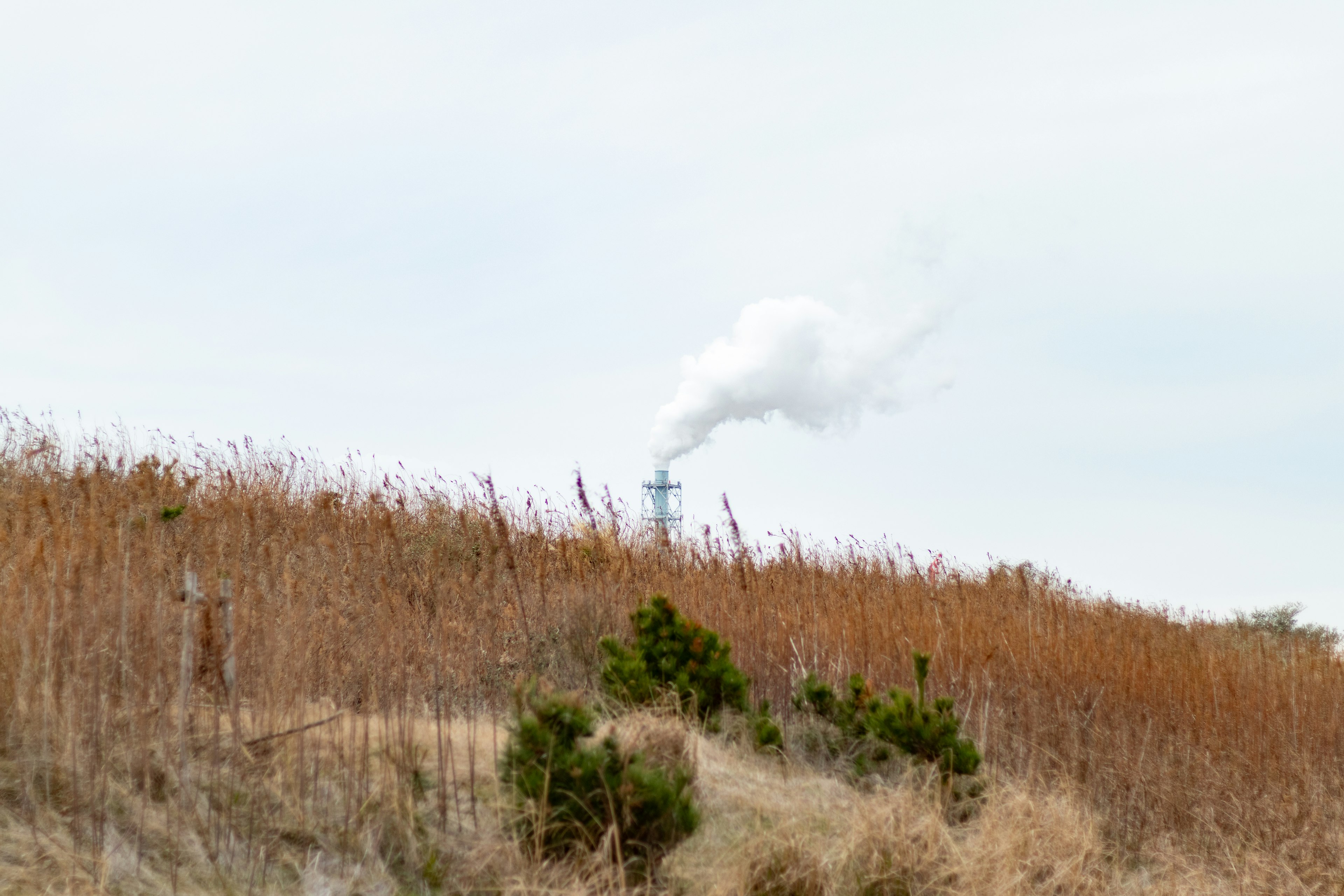 Smoke emitting chimney against a backdrop of dry grasses