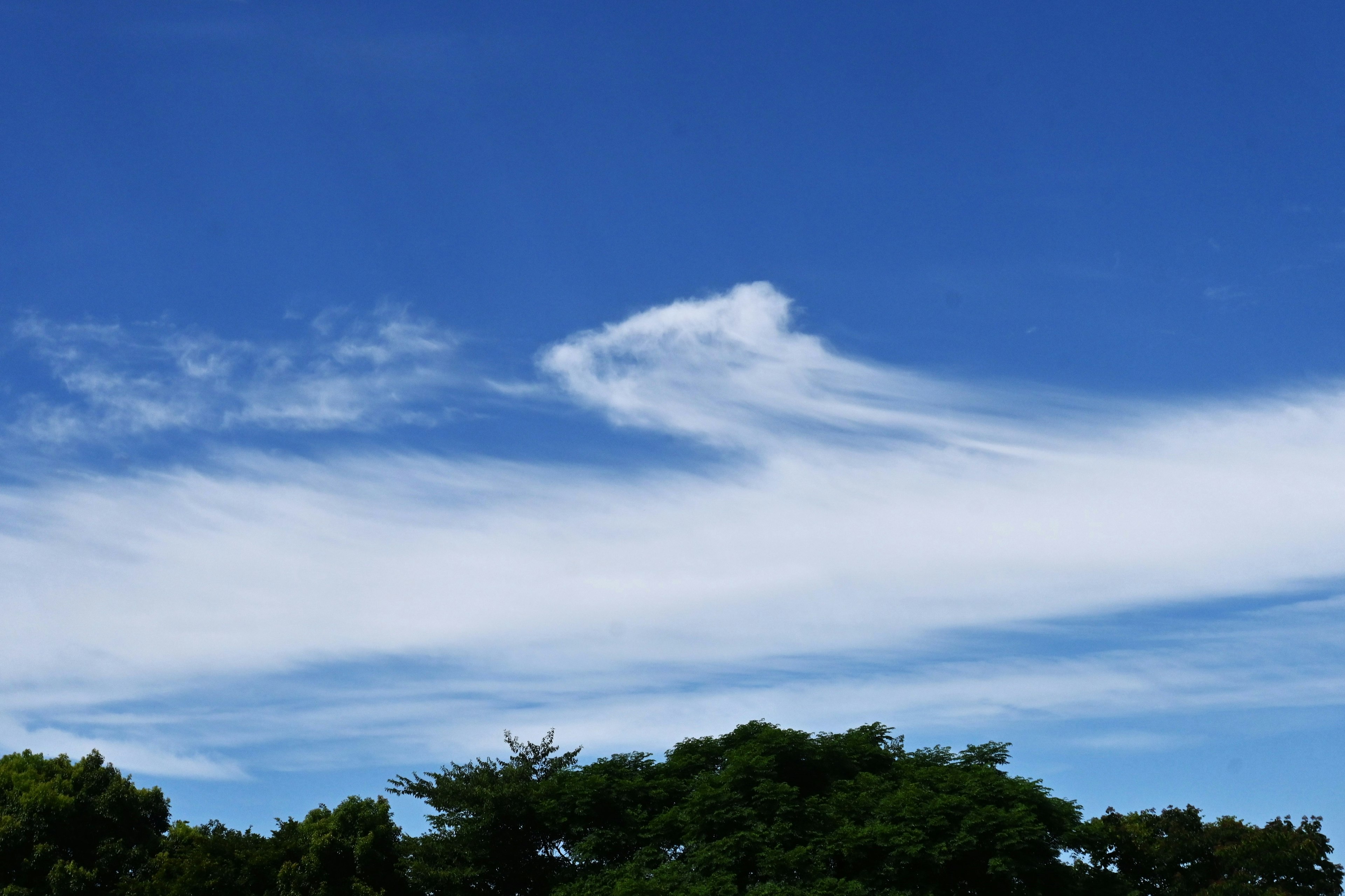 青空に白い雲が浮かぶ風景