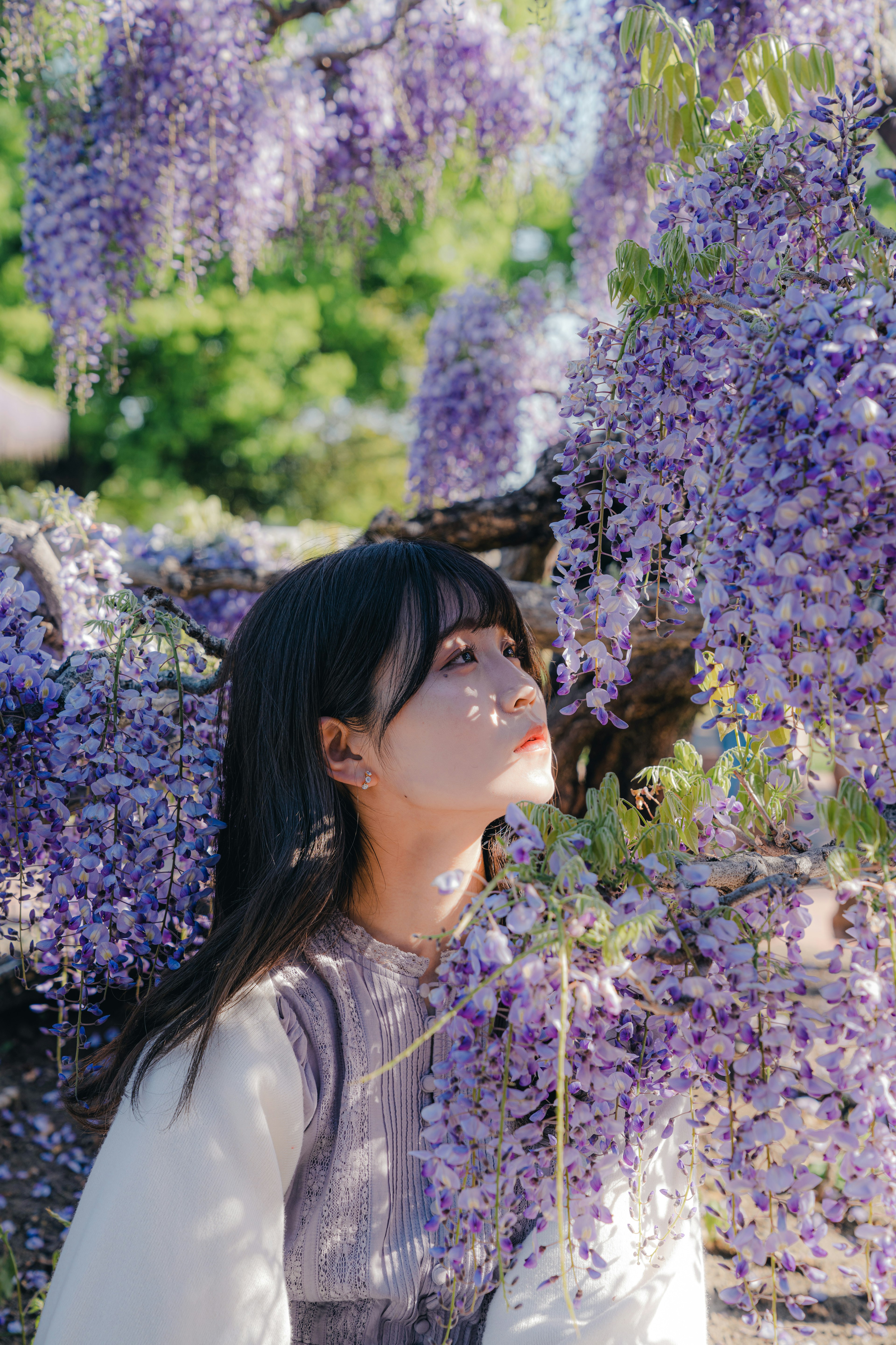 Profil latéral d'une femme souriante sous des fleurs de glycine violettes