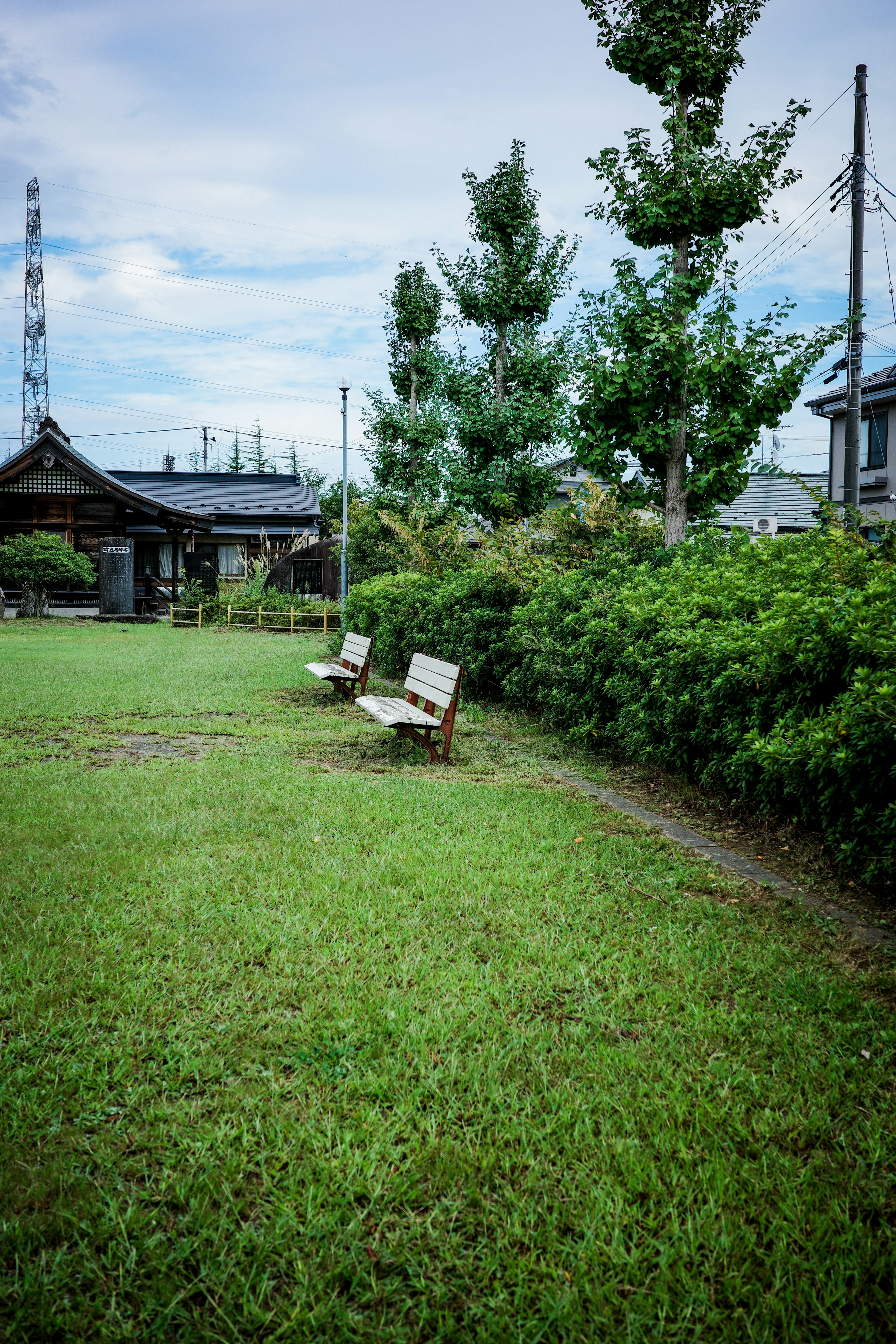 Benches on green grass with trees in the background