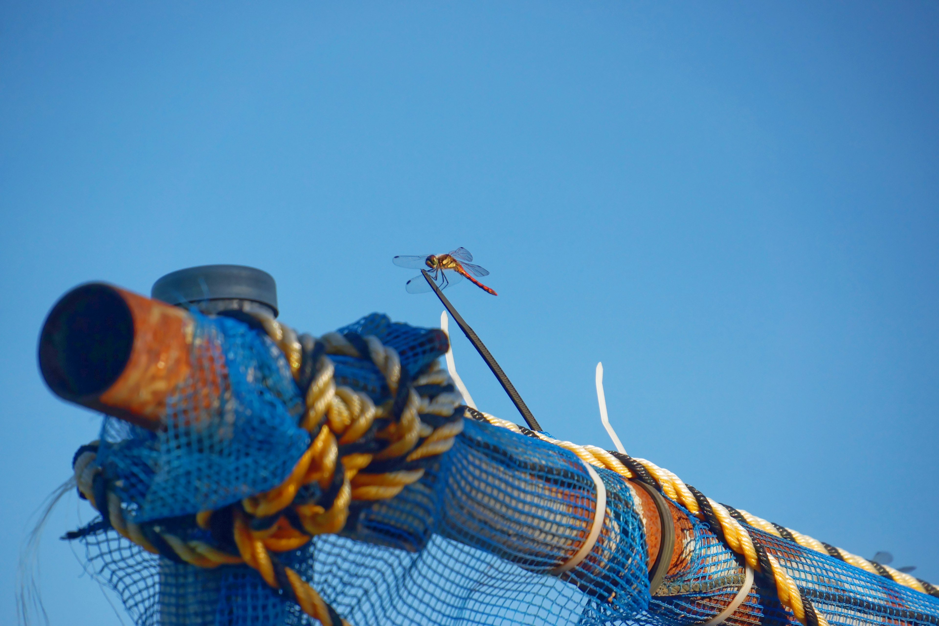 Top of a fishing pole with blue netting and yellow rope against a clear blue sky