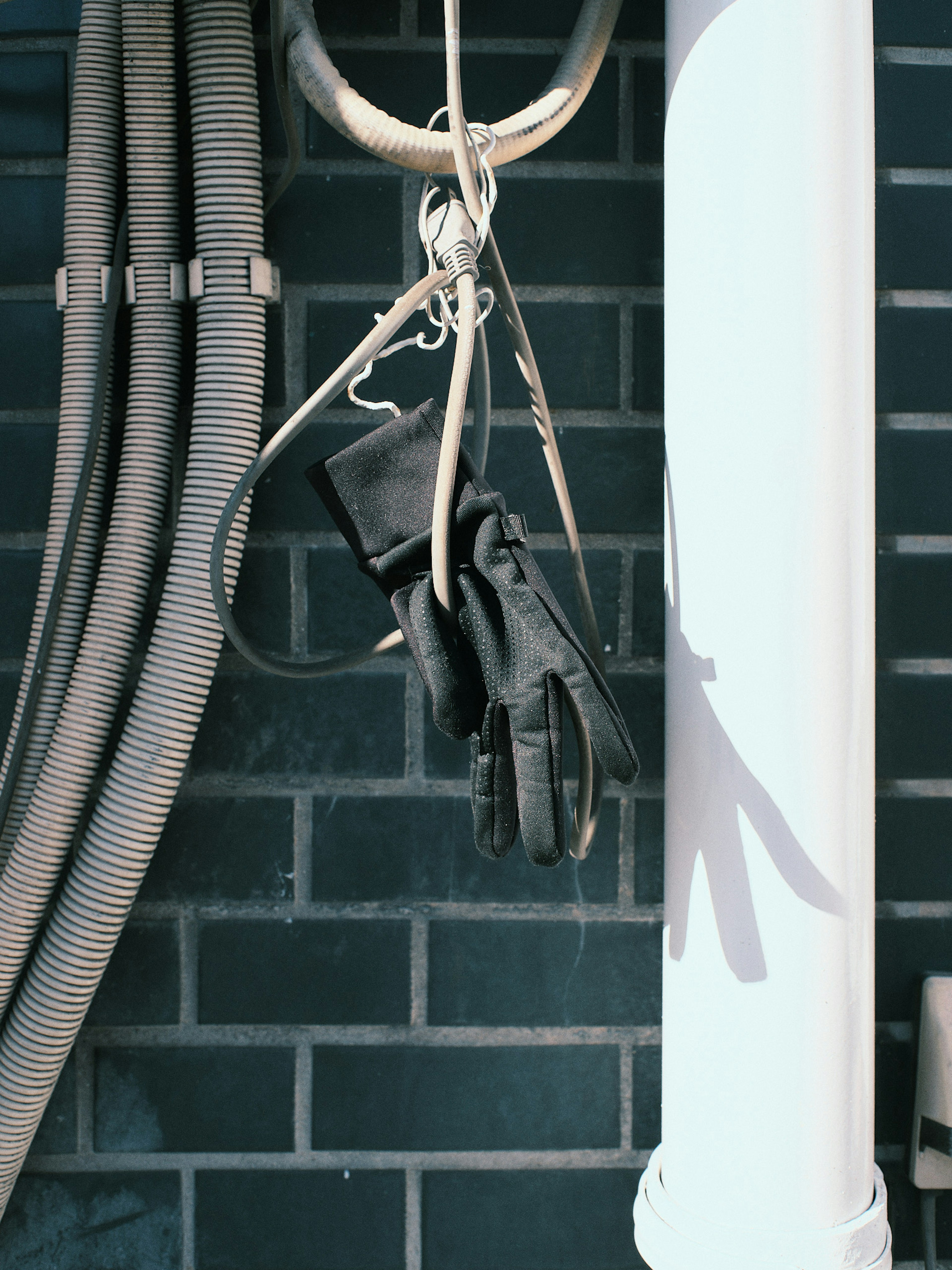 Black gloves hanging on a hook against a blue tiled wall