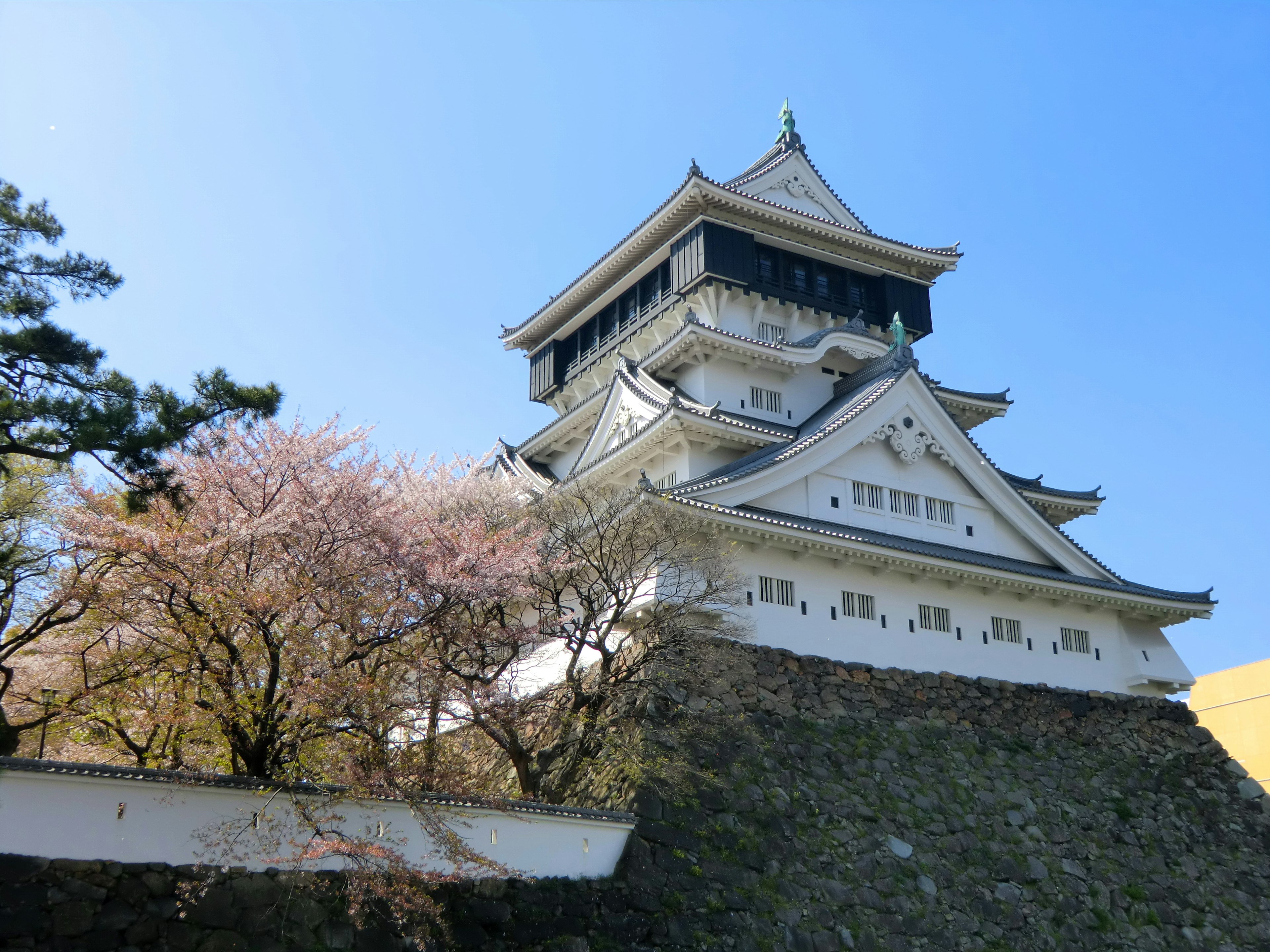 Beautiful view of a white castle with cherry blossom trees and blue sky