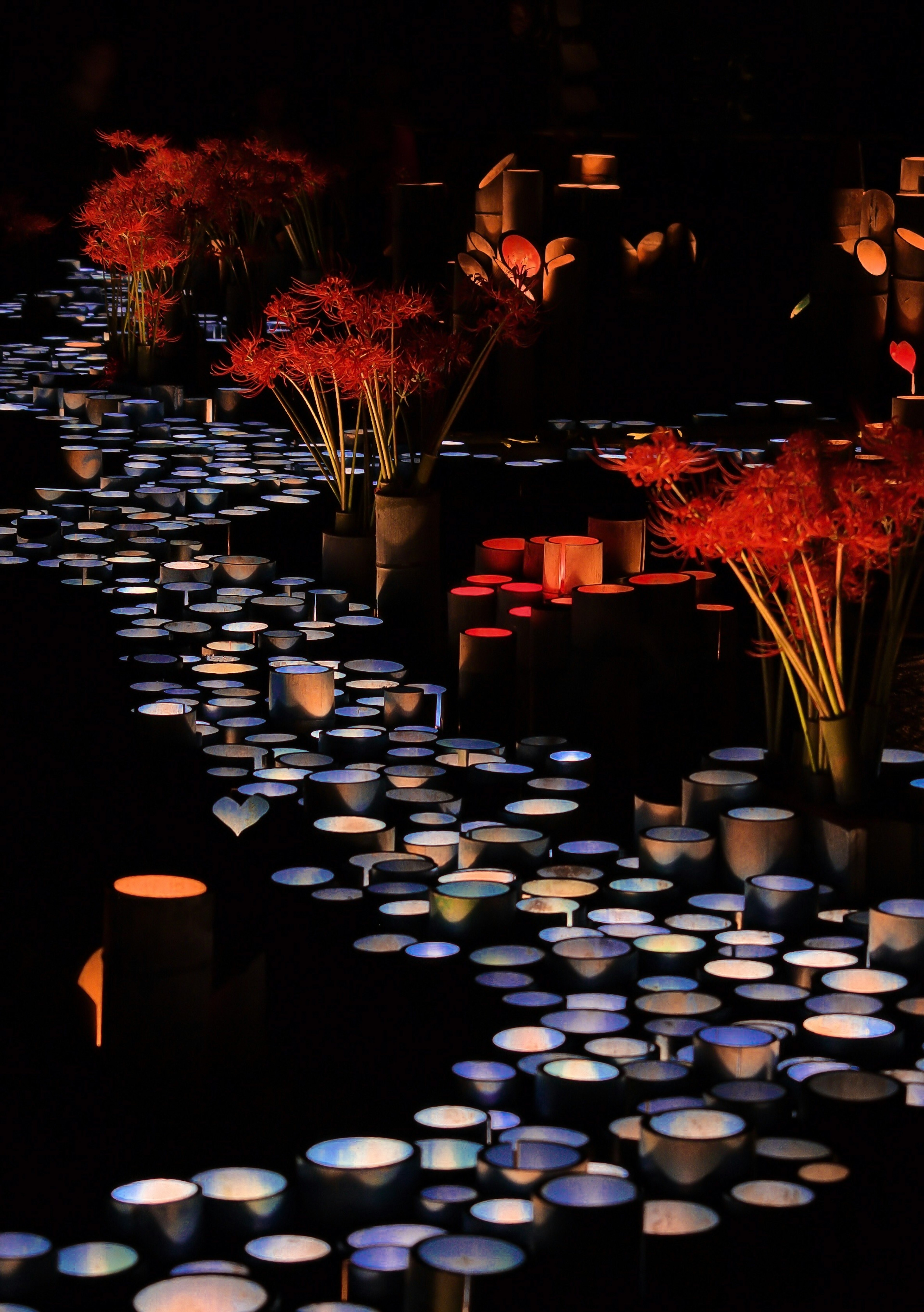 赤い花と青い光のコントラストが美しい幻想的な風景