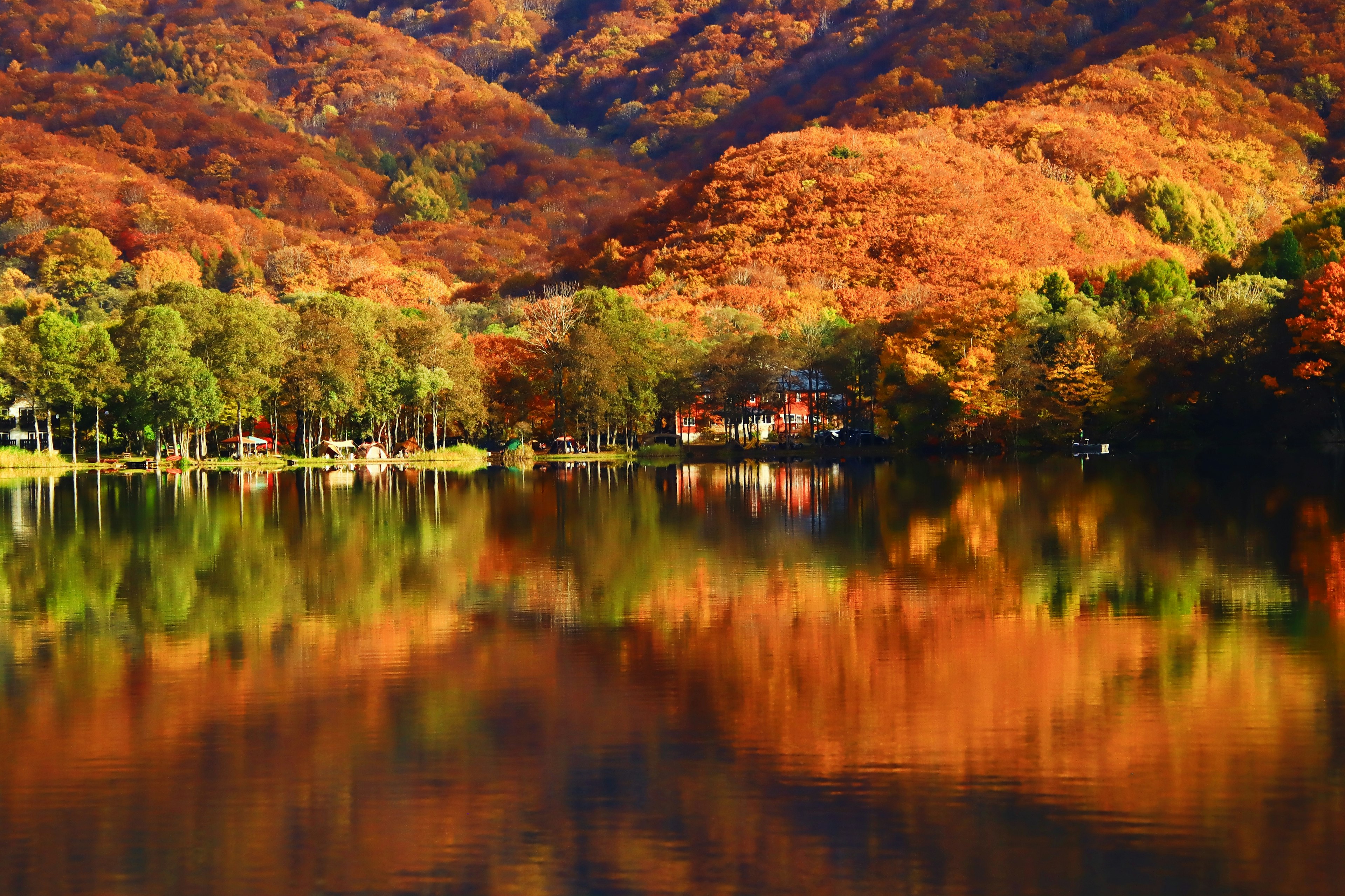 美麗的秋季風景，鮮豔的橙色和紅色樹葉倒映在寧靜的湖面上